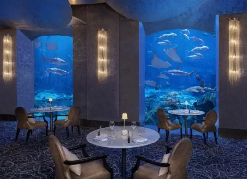 Atlantis The Palm - zdjęcie 29