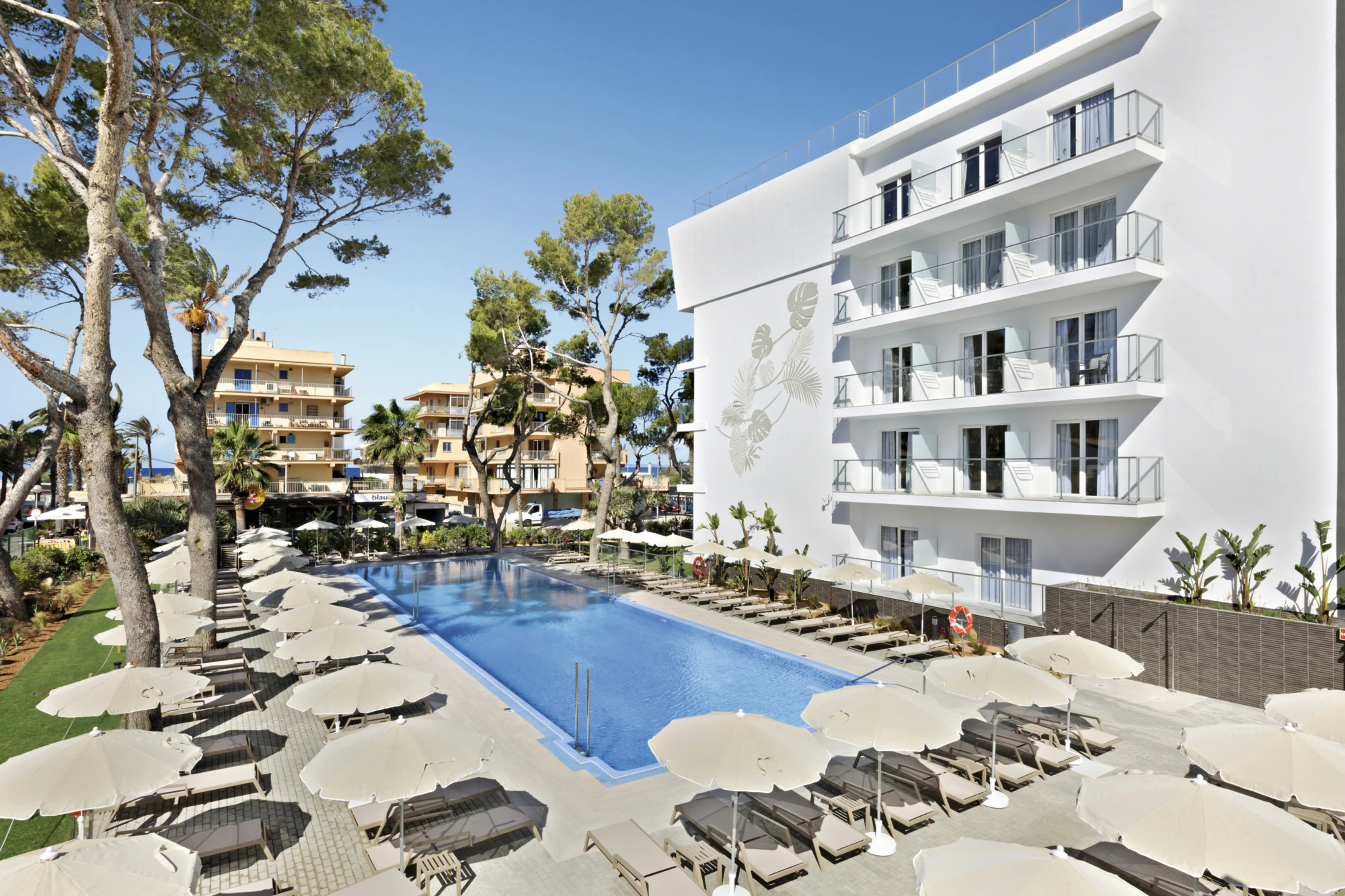 Riu Concordia - zdjęcie 14