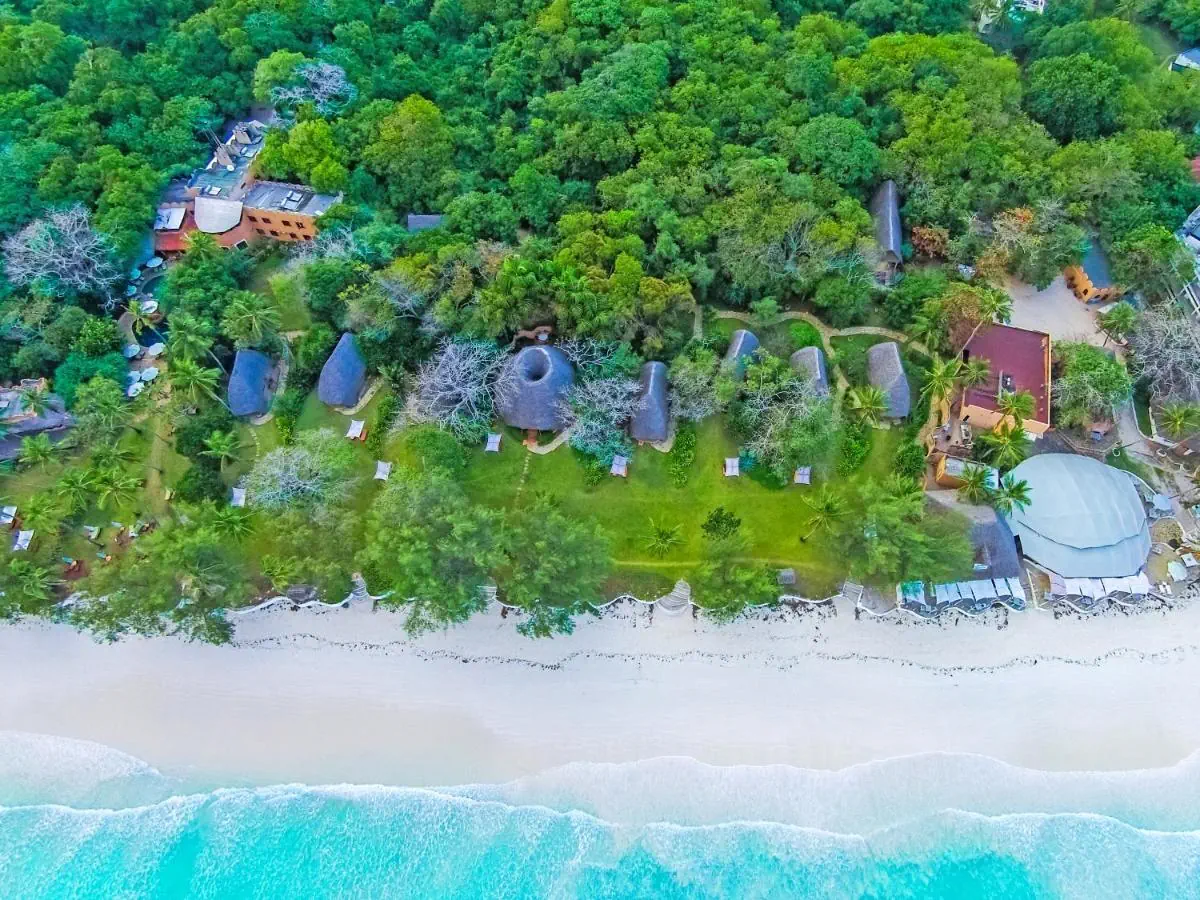 Nomad Beach Resort - zdjęcie 2