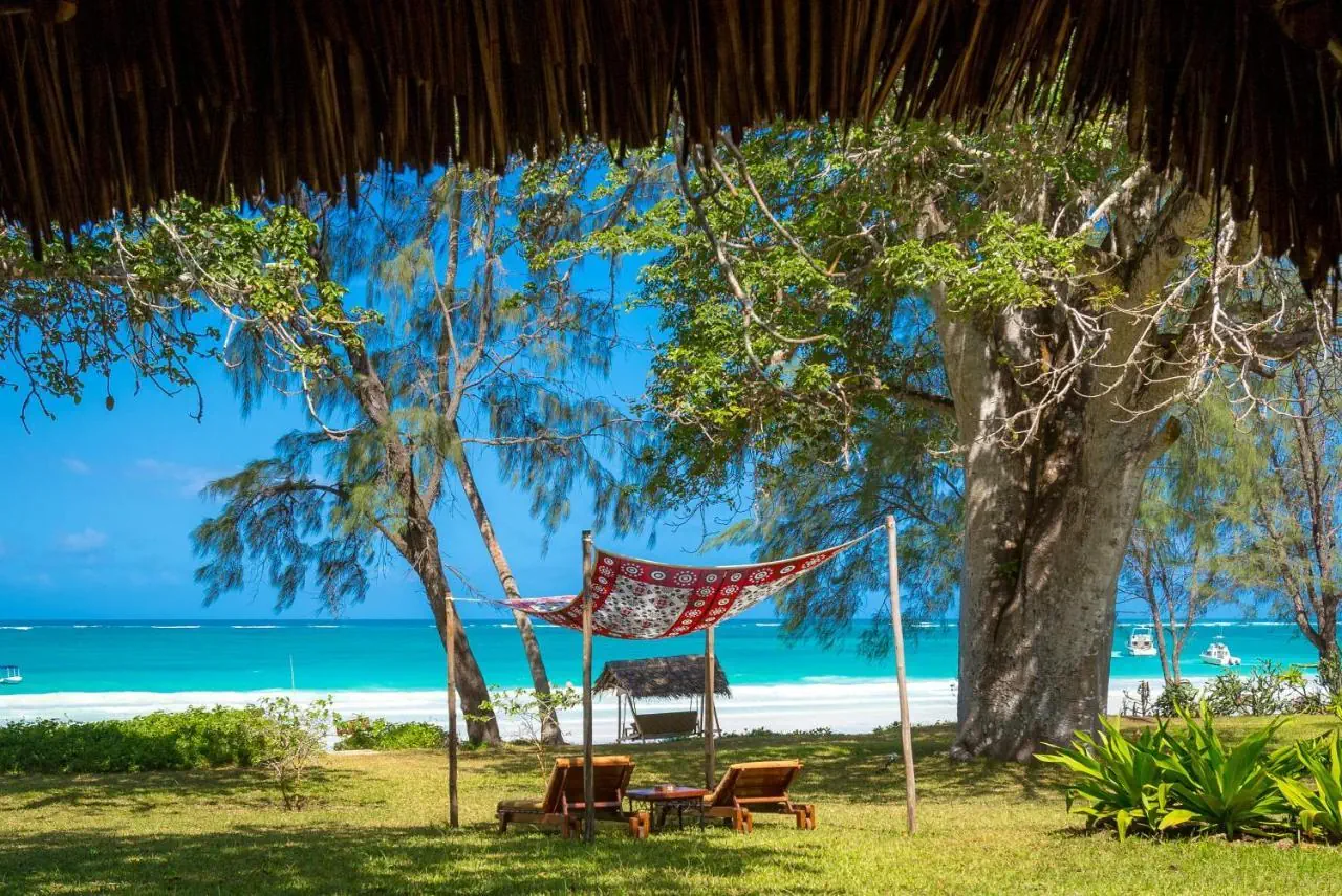 Nomad Beach Resort - zdjęcie 8
