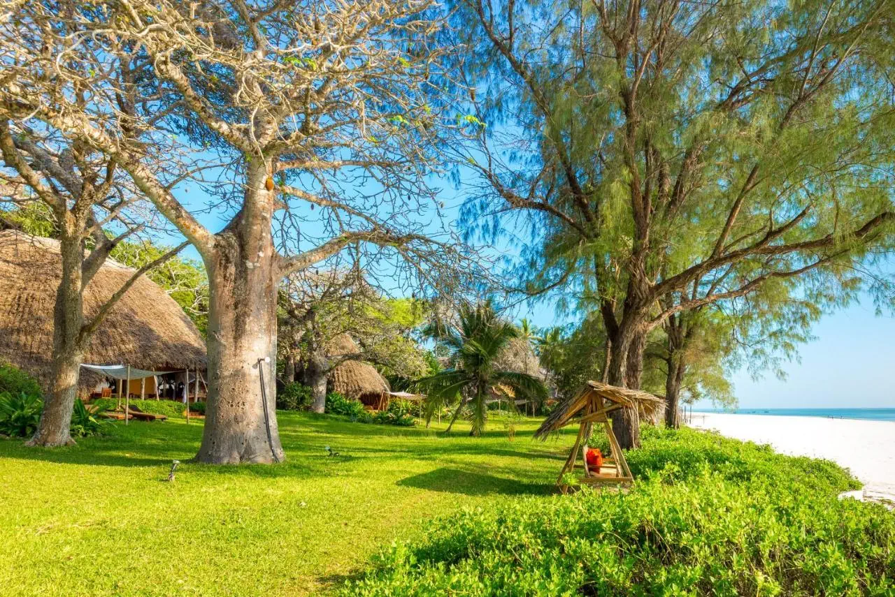 Nomad Beach Resort - zdjęcie 6