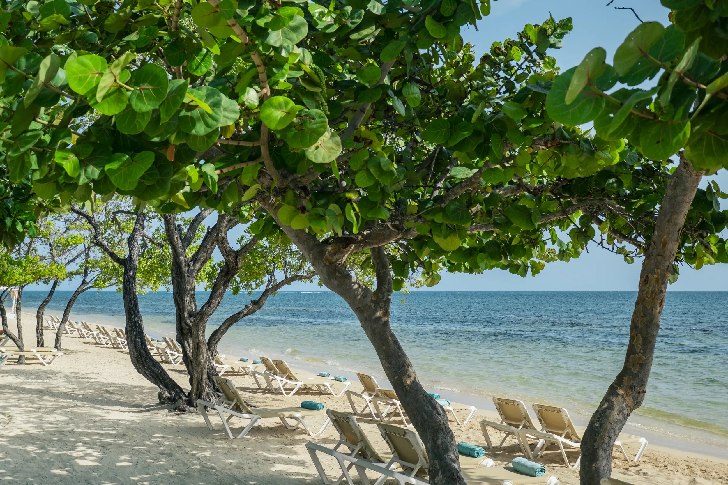 Iberostar Waves Rose Hall Beach - zdjęcie 34