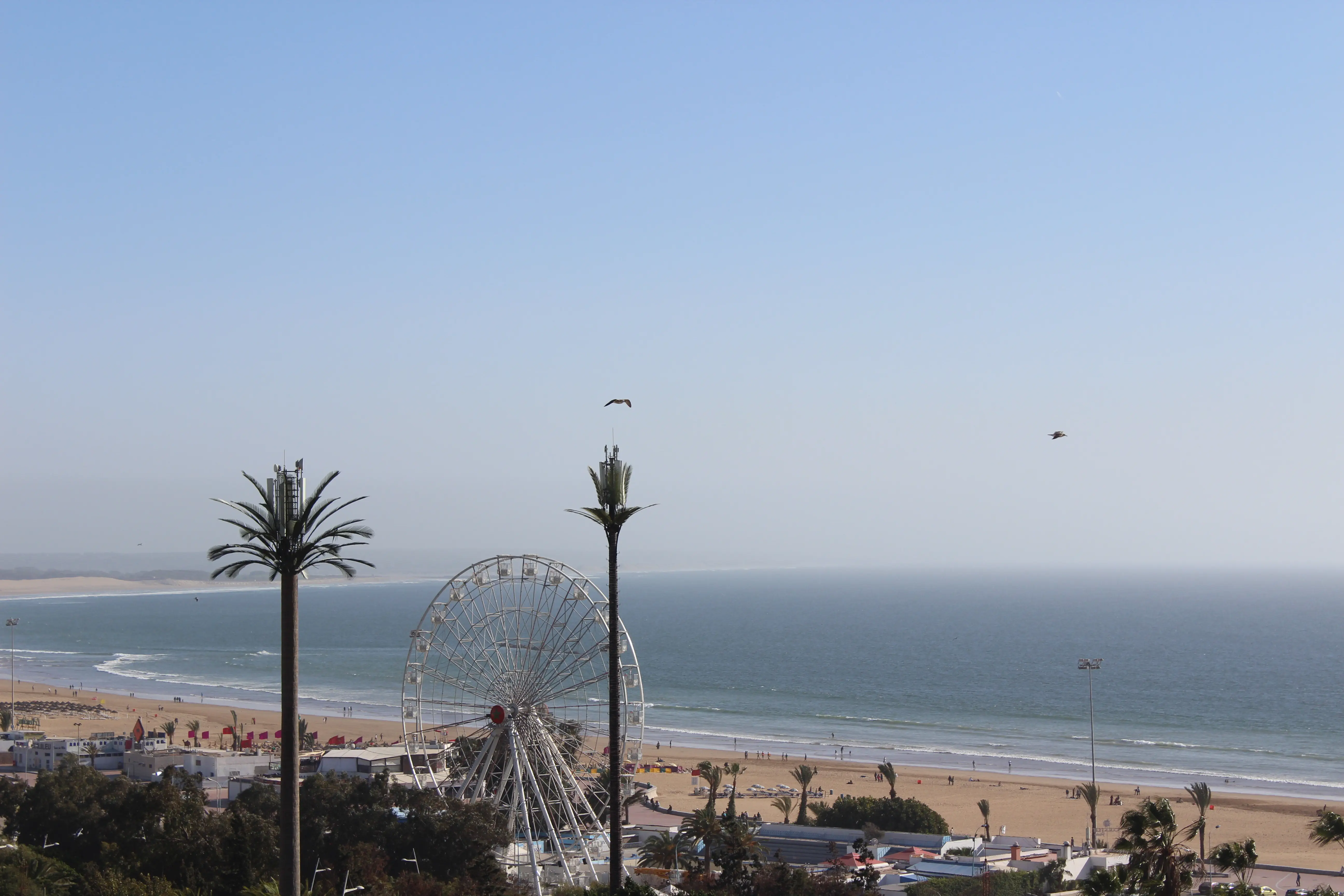 Tildi (Agadir) - zdjęcie 21