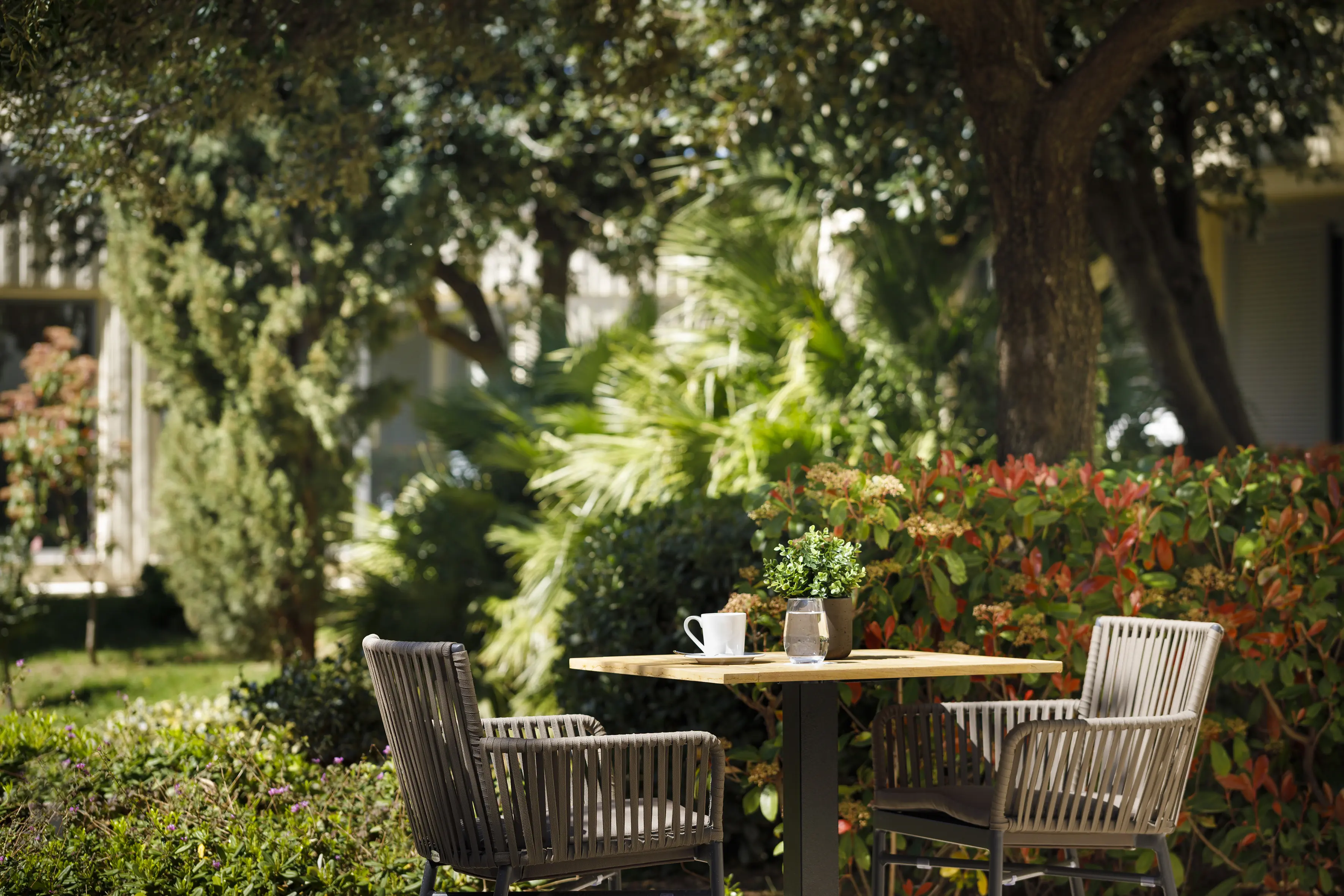 Valamar Argosy (Dubrovnik) - zdjęcie 23