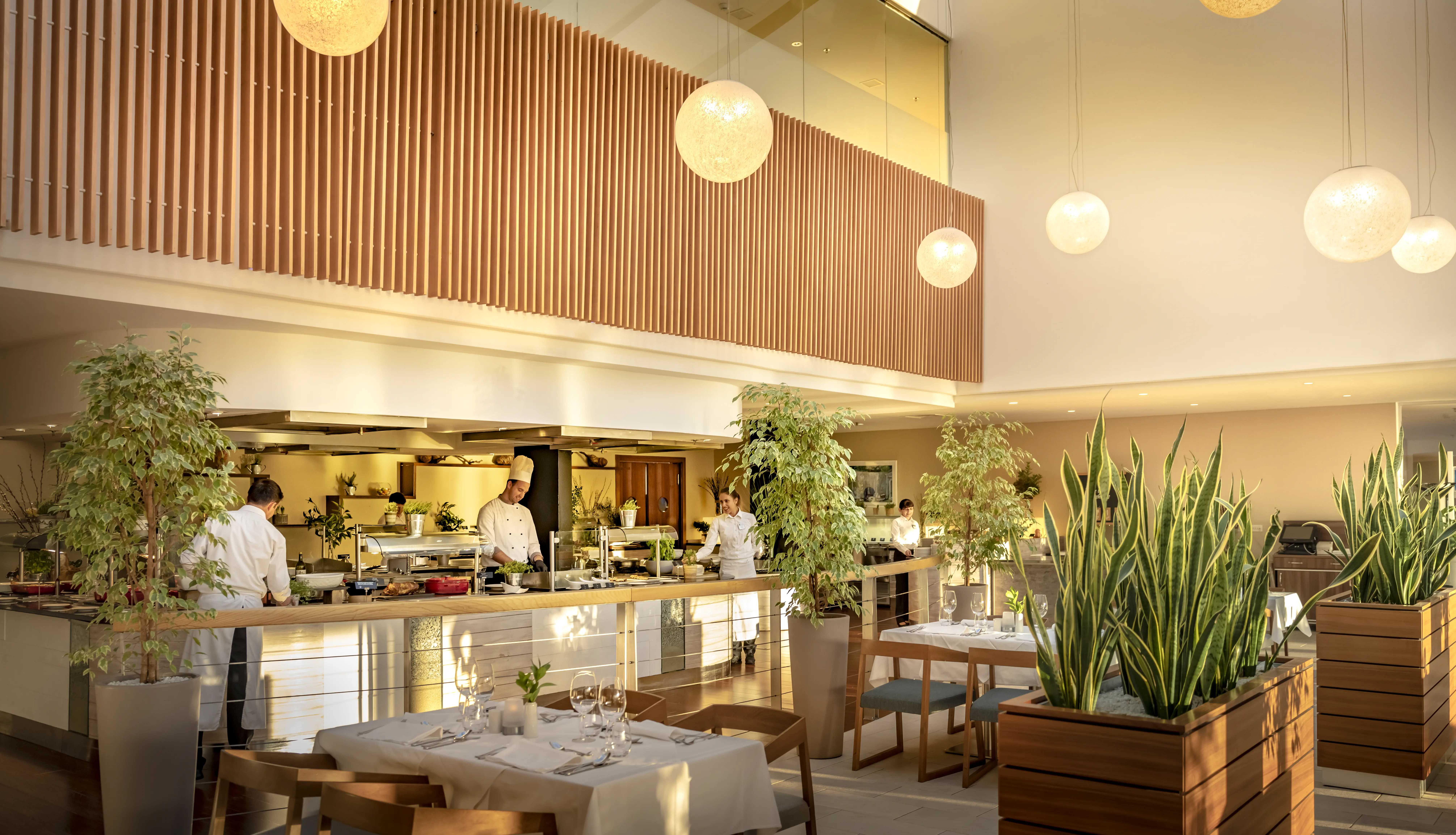 Valamar President (Dubrovnik) - zdjęcie 62