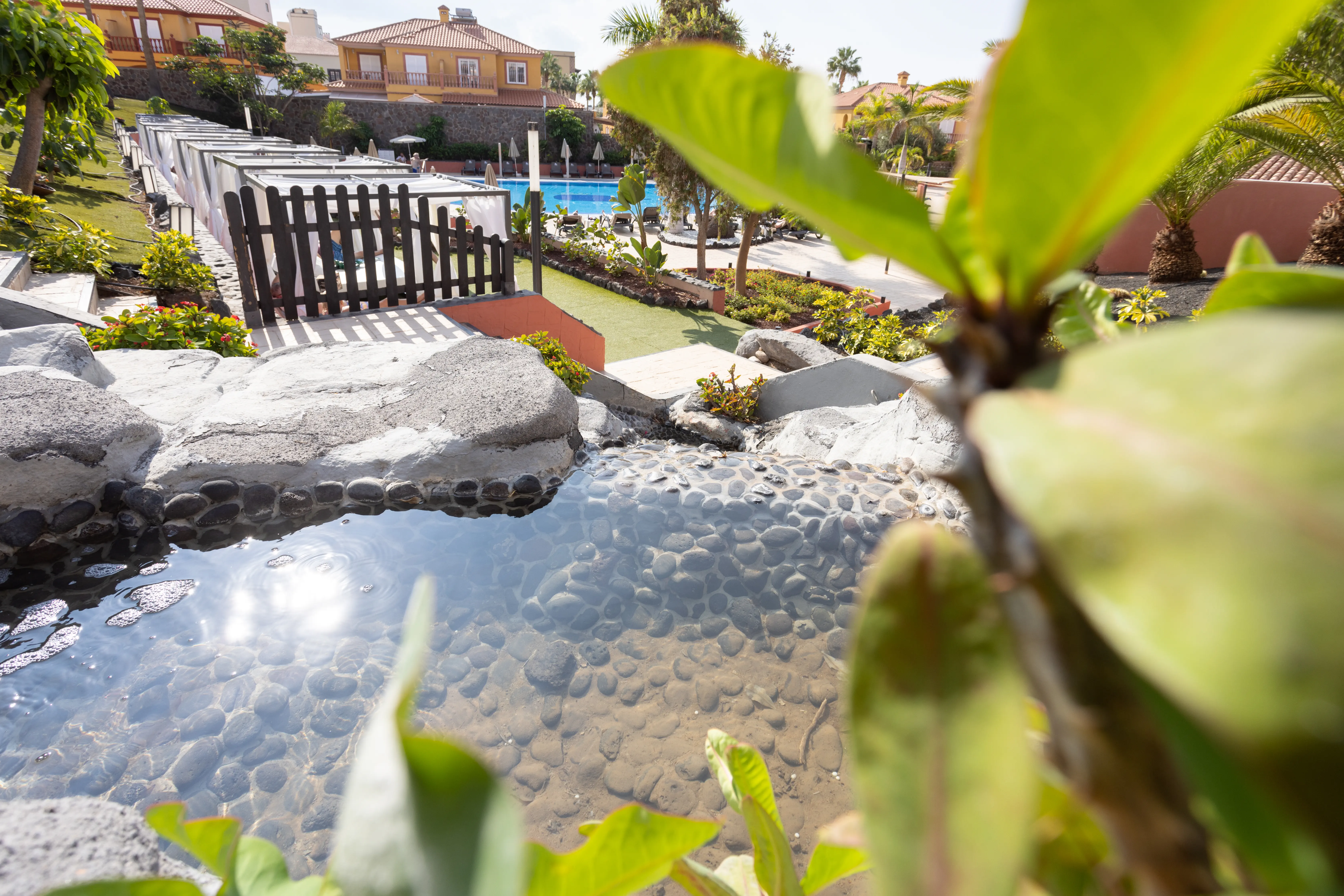 El Duque Aparthotel - zdjęcie 29