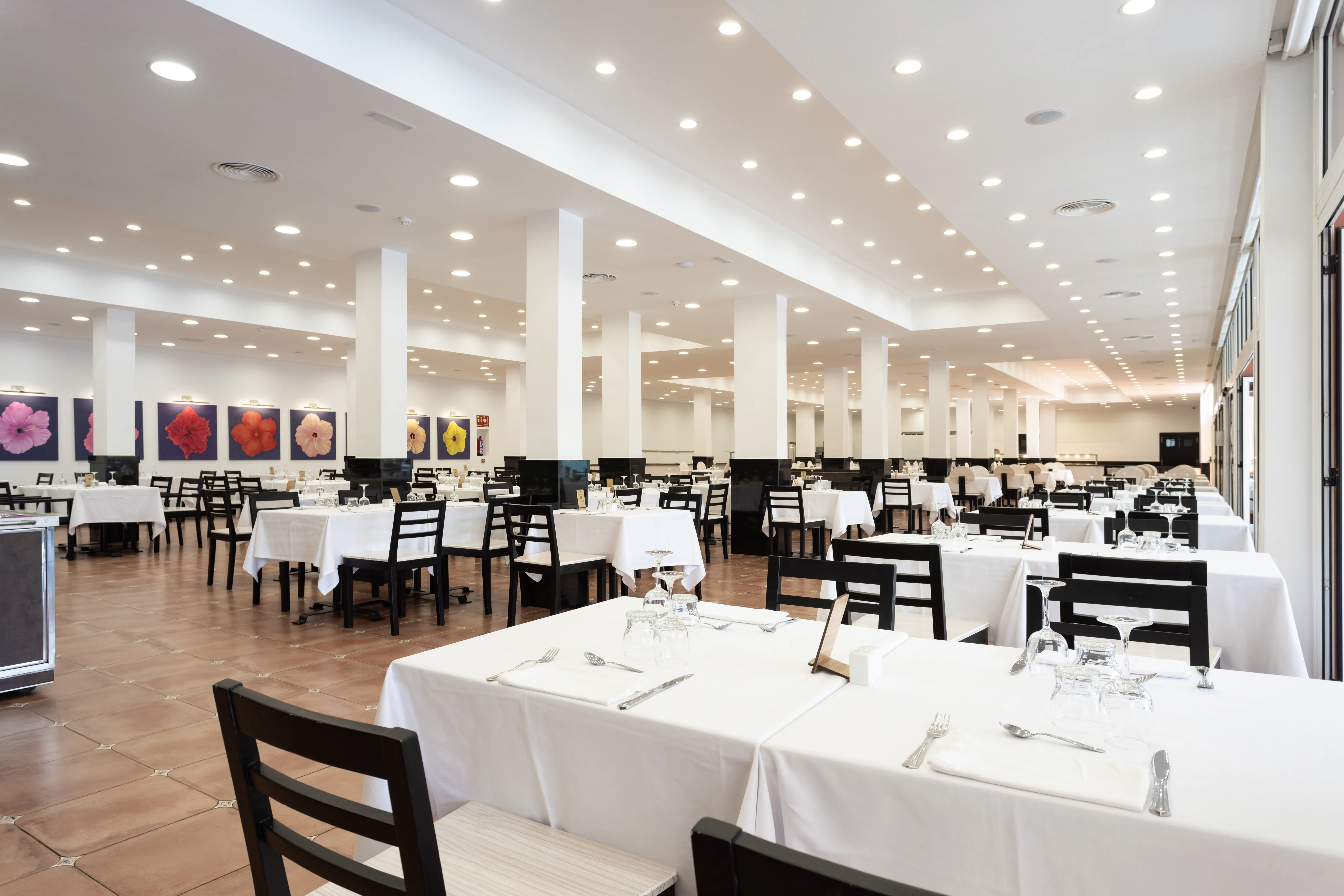 El Duque Aparthotel - zdjęcie 57