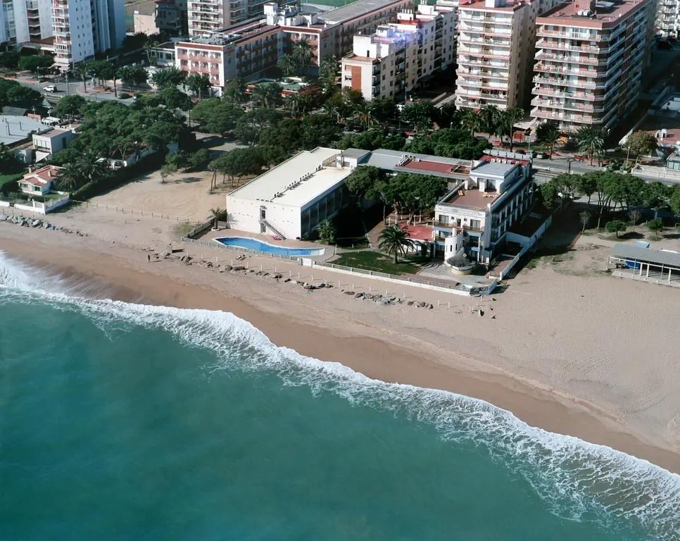 Amaraigua