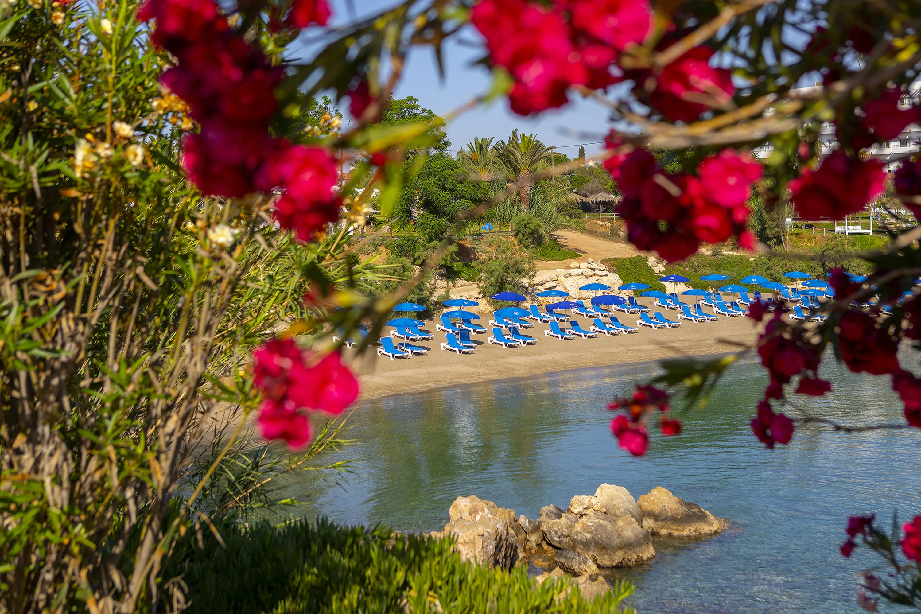 Crystal Springs Beach - zdjęcie 34