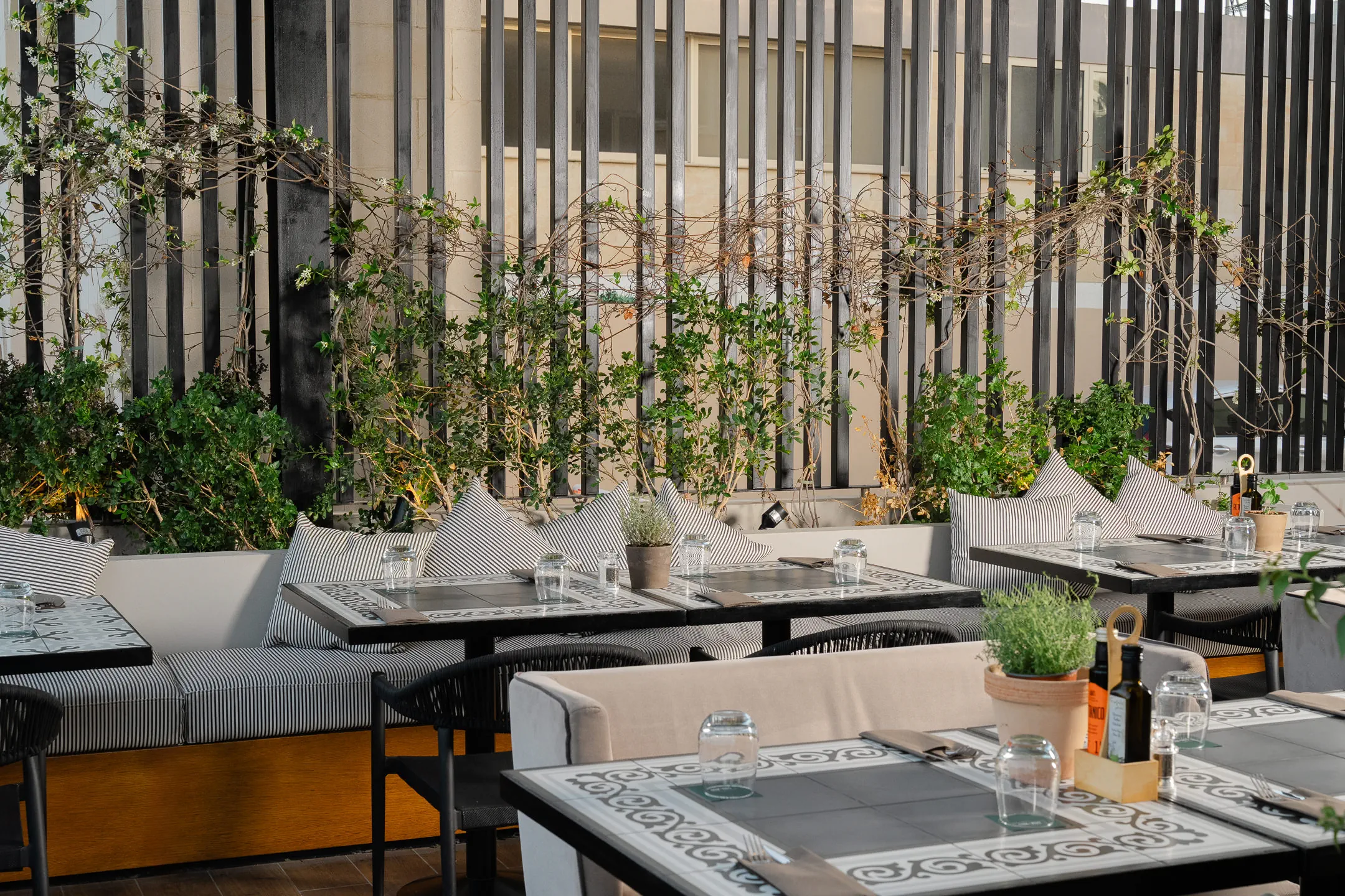 Napa Plaza - zdjęcie 5