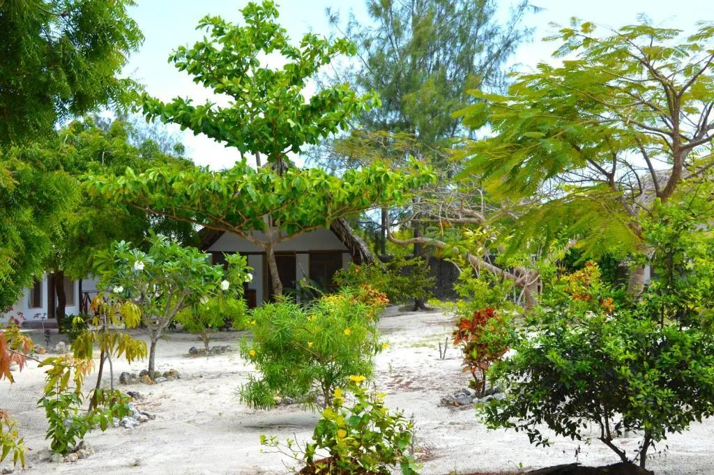 New Jambo Bungalows - zdjęcie 15