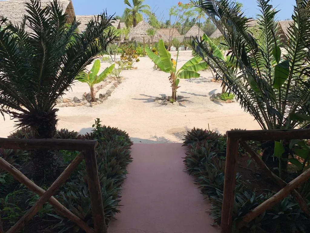 New Jambo Bungalows - zdjęcie 18