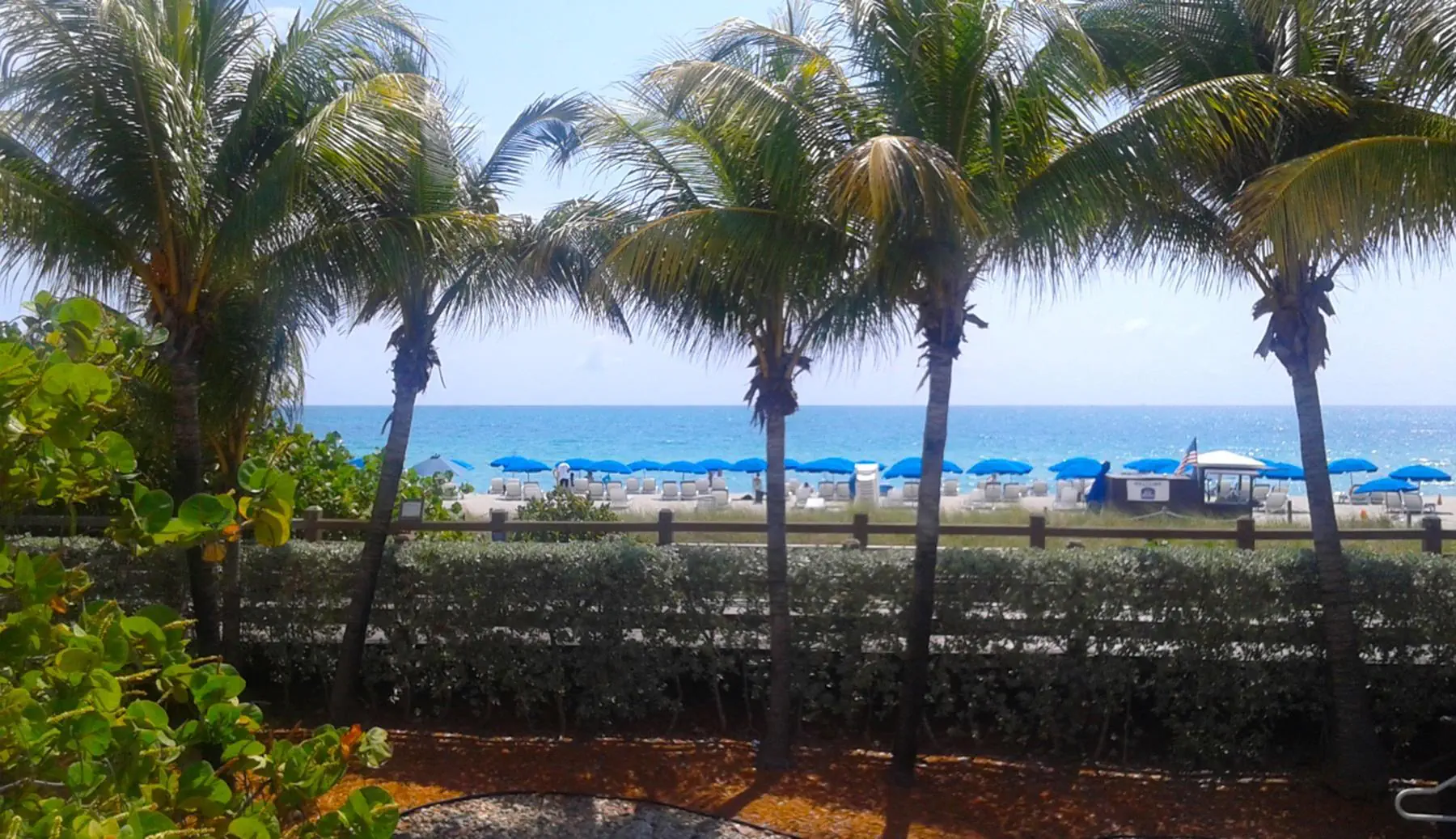 Best Western Plus Atlantic Beach - zdjęcie 8