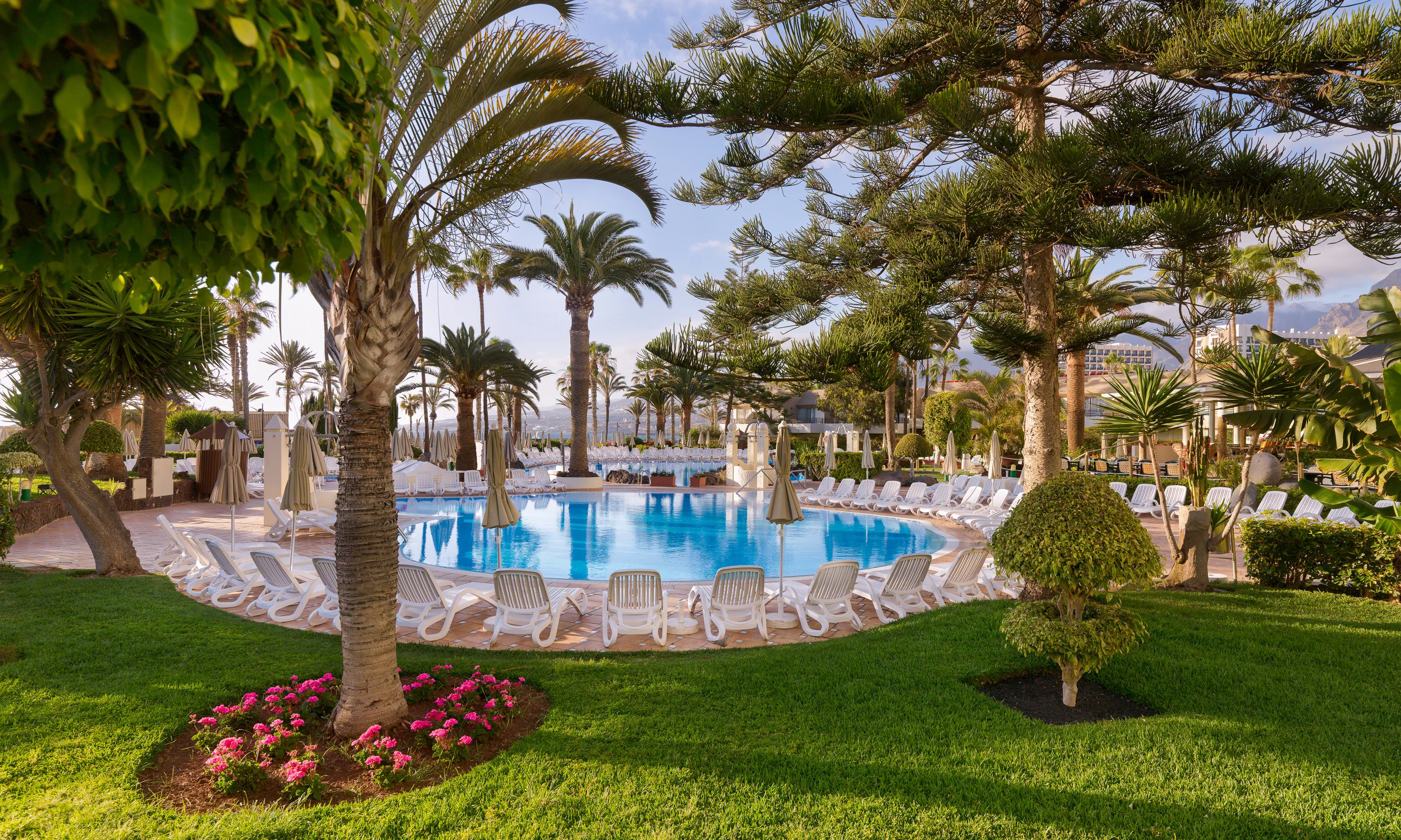 H10 Las Palmeras (Playa de las Americas) - zdjęcie 65
