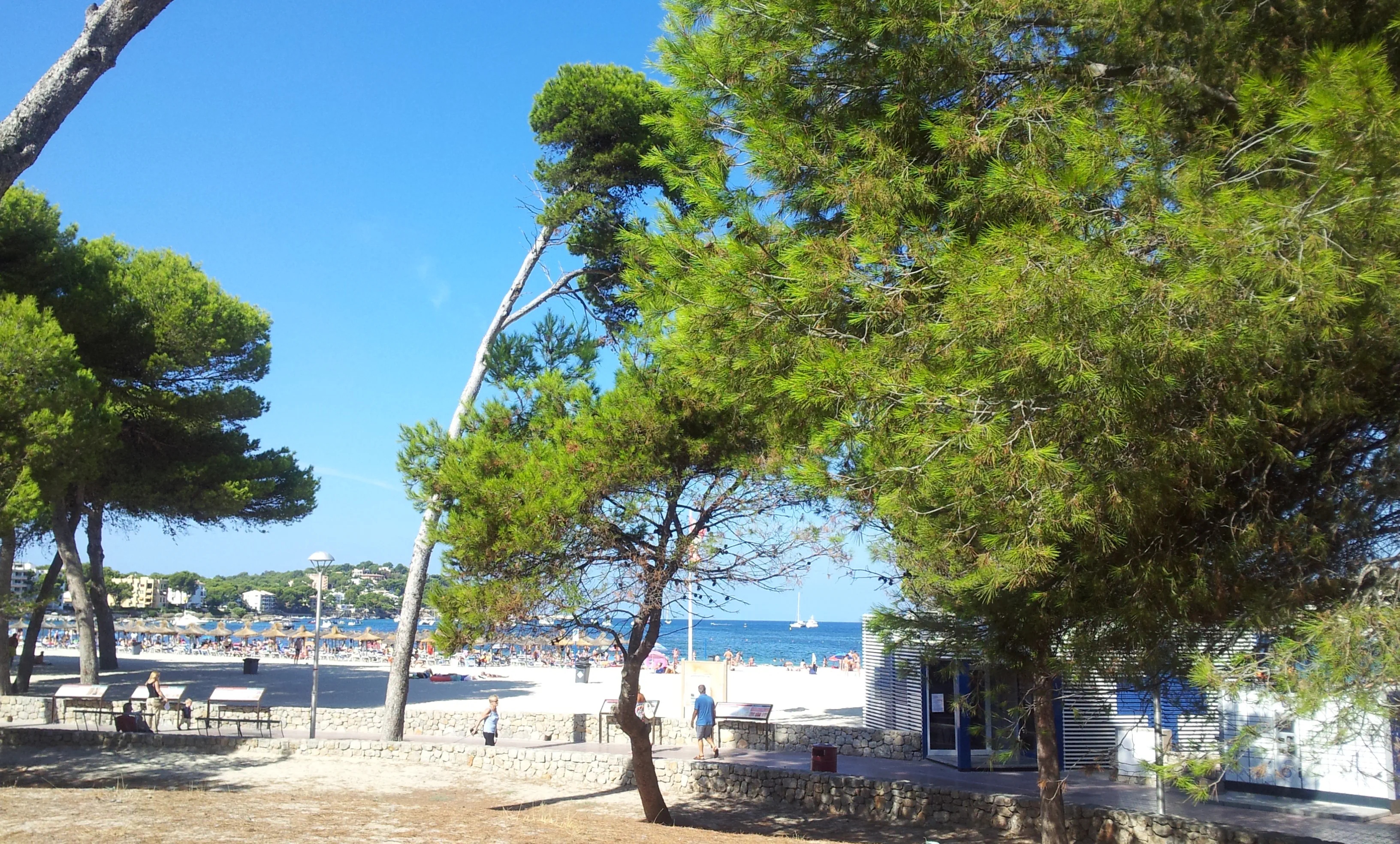 Casablanca (Santa Ponsa) - zdjęcie 23