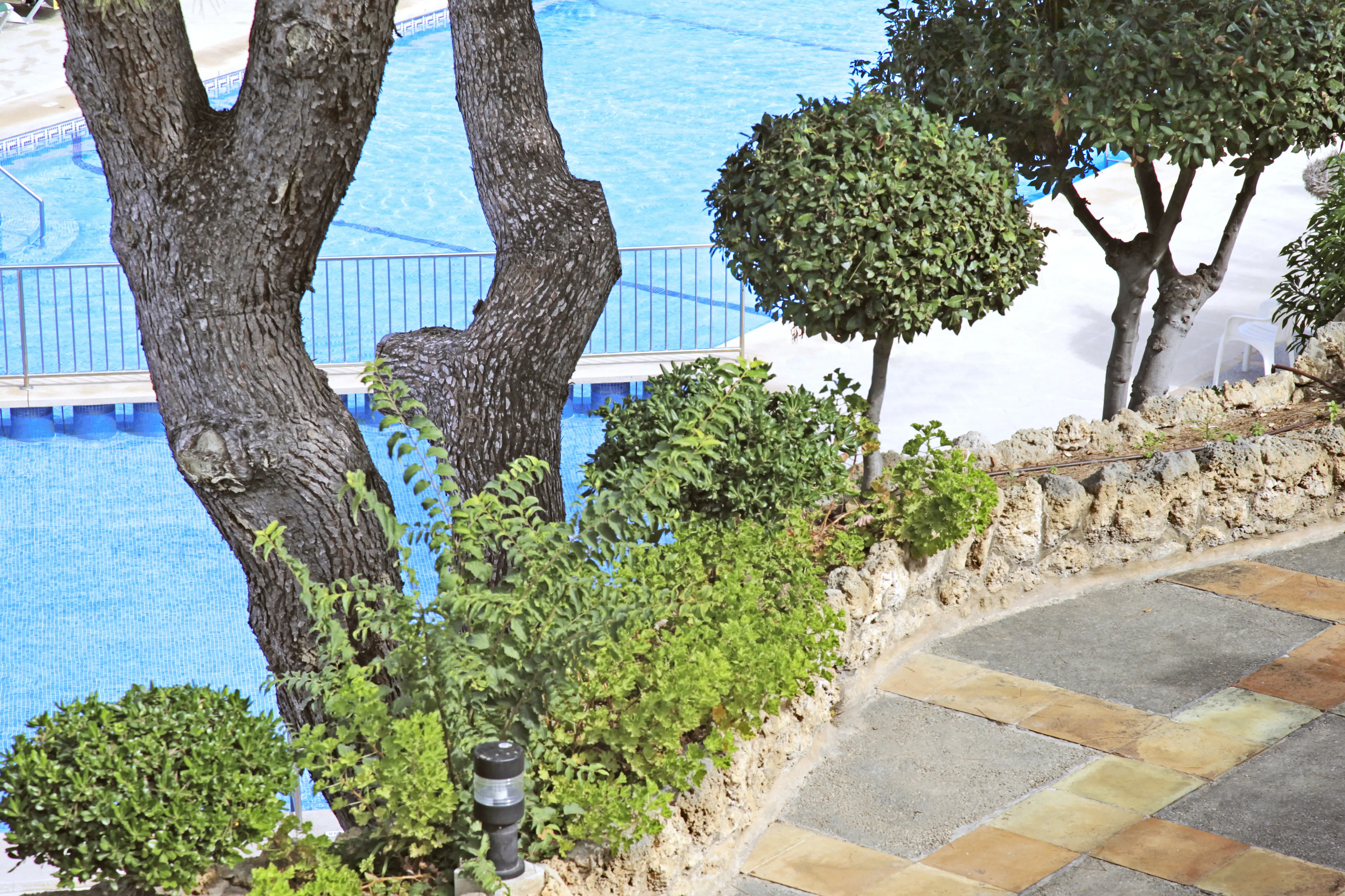 Casablanca (Santa Ponsa) - zdjęcie 49