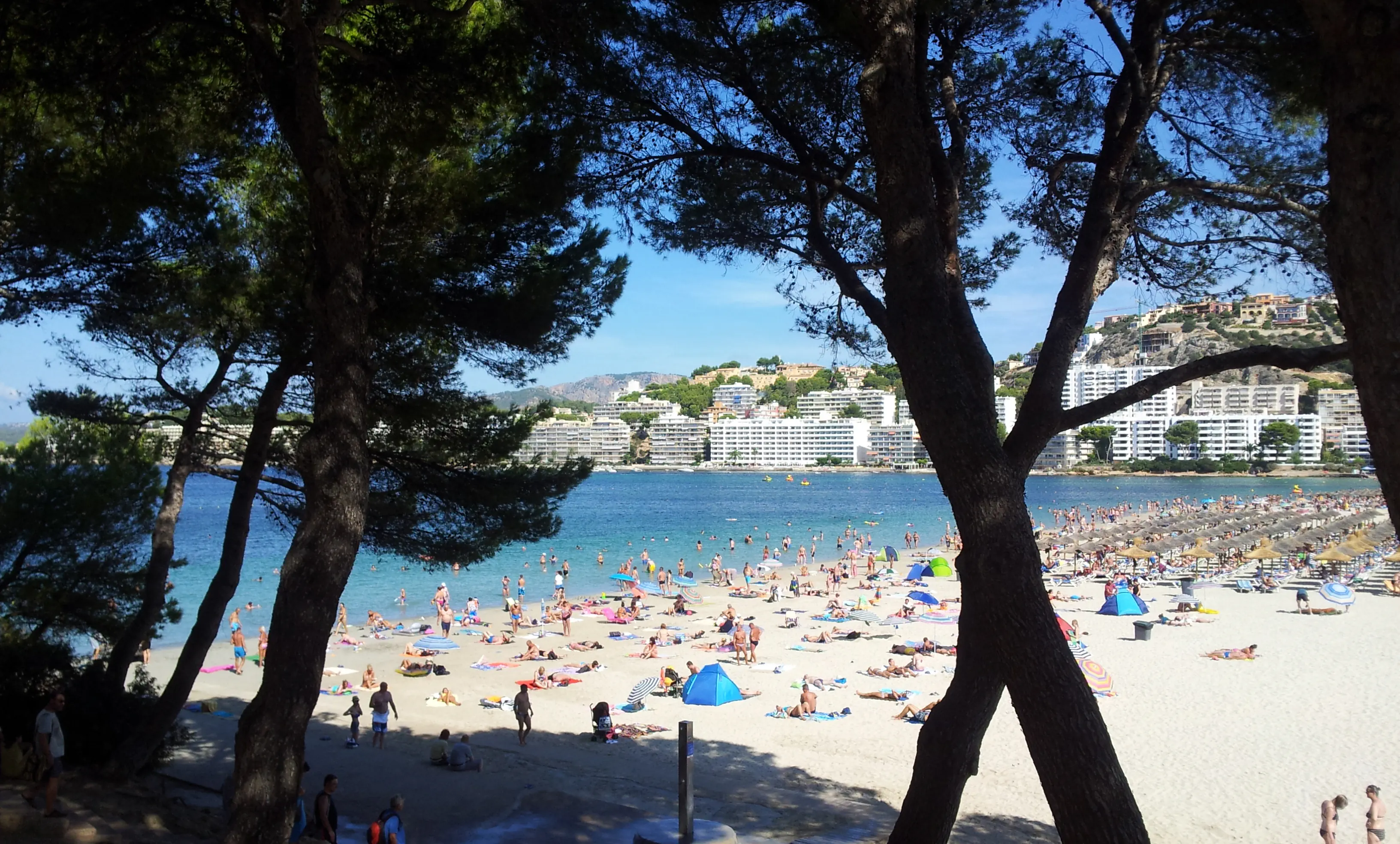 Casablanca (Santa Ponsa) - zdjęcie 17
