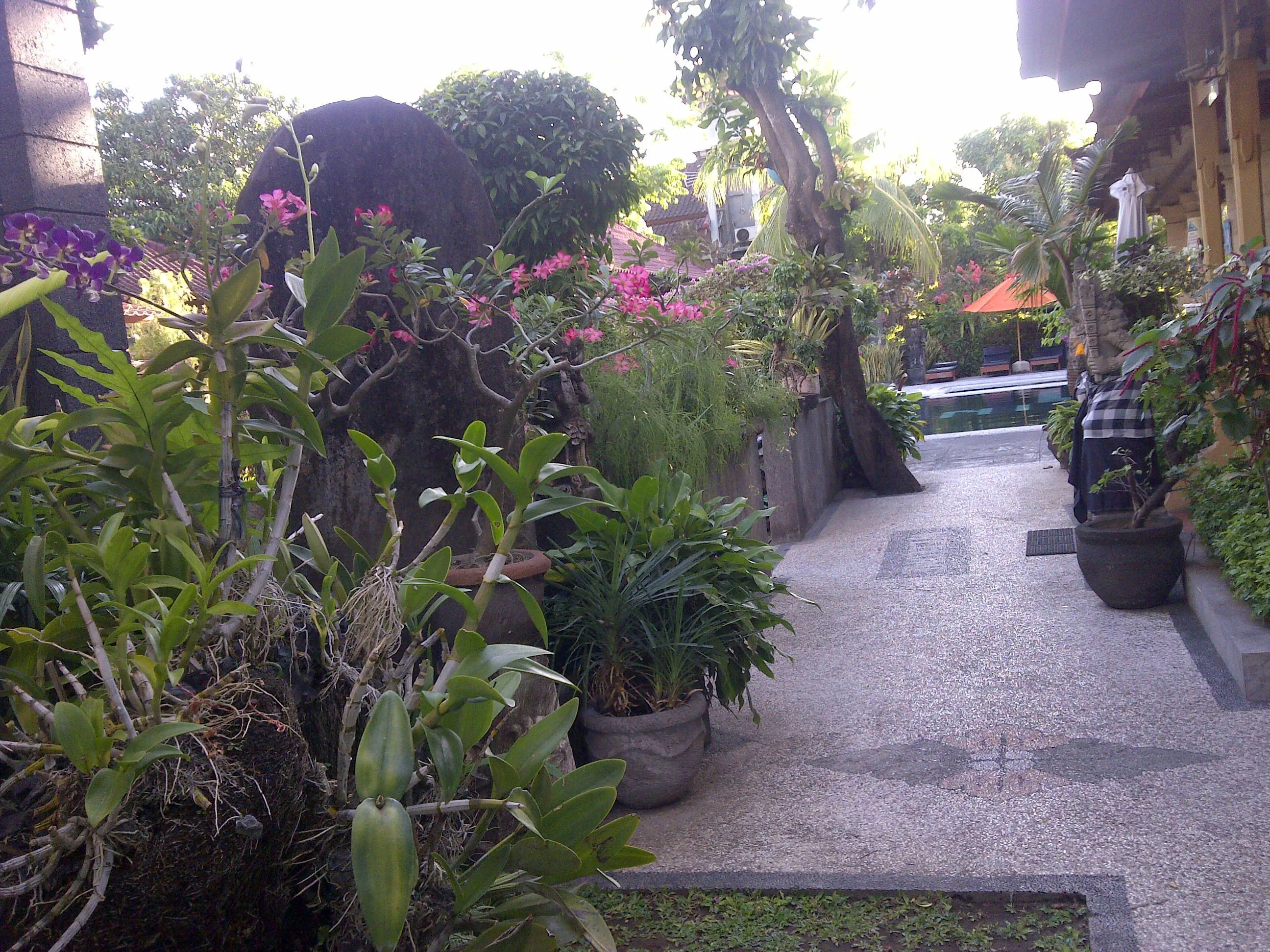 Legian Village - zdjęcie 44