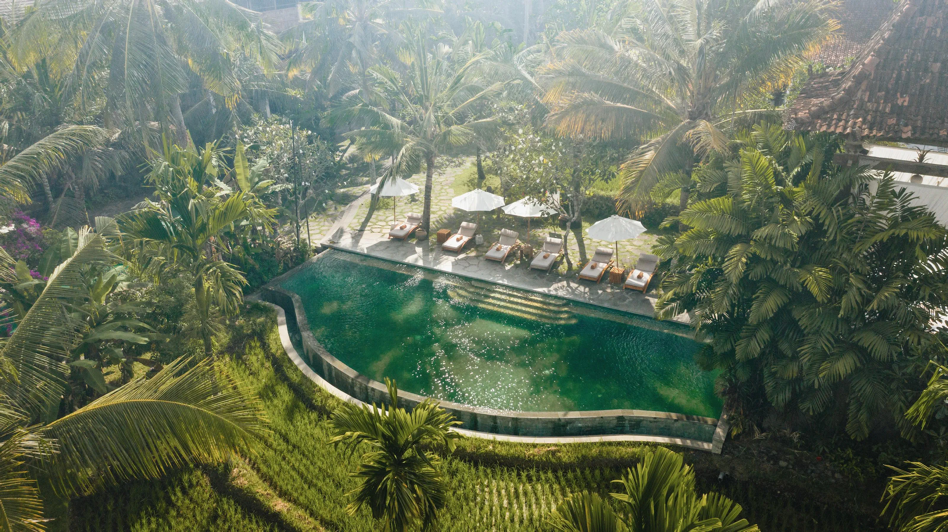 Alaya Ubud - zdjęcie 50