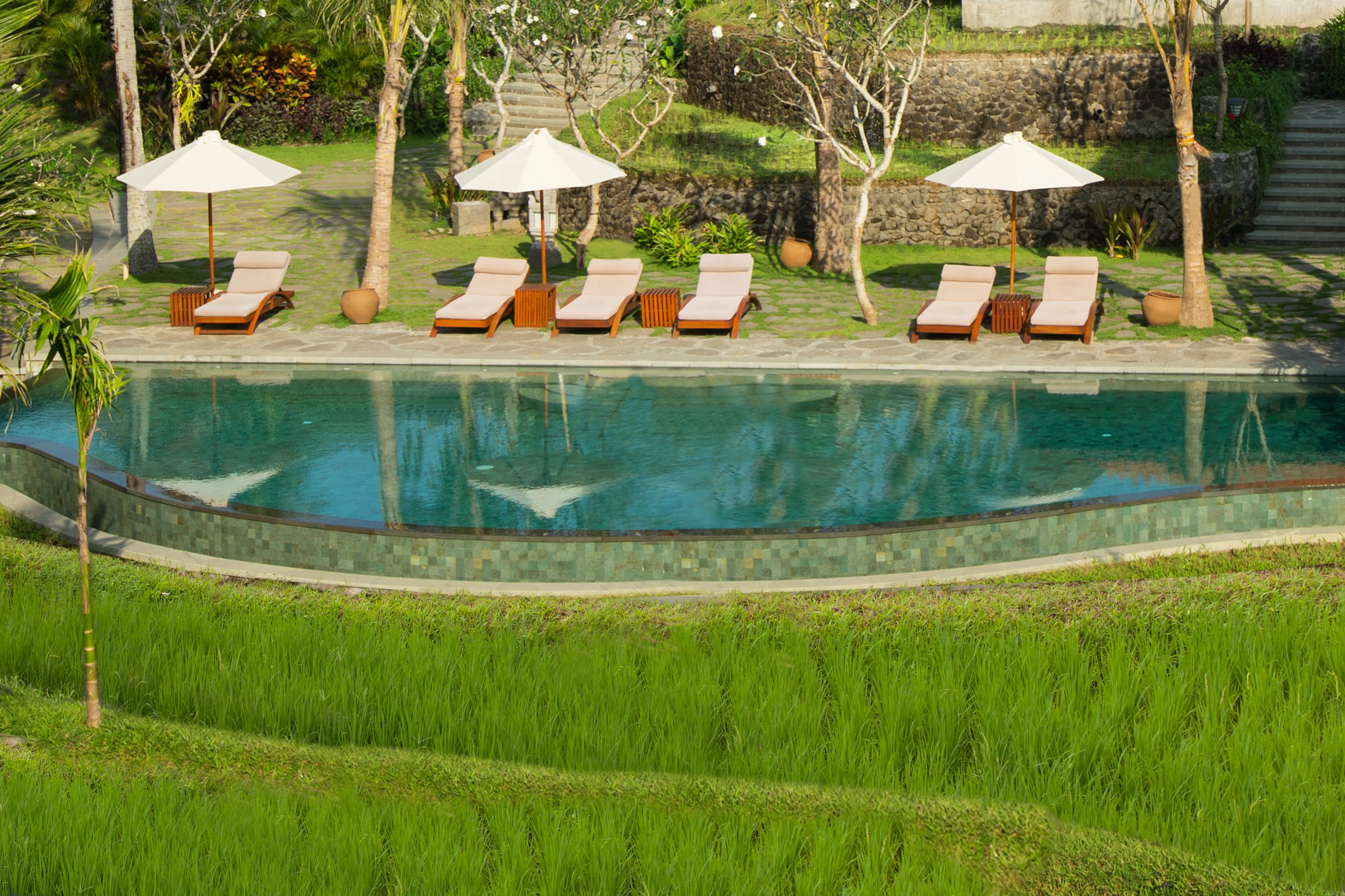 Alaya Ubud - zdjęcie 34