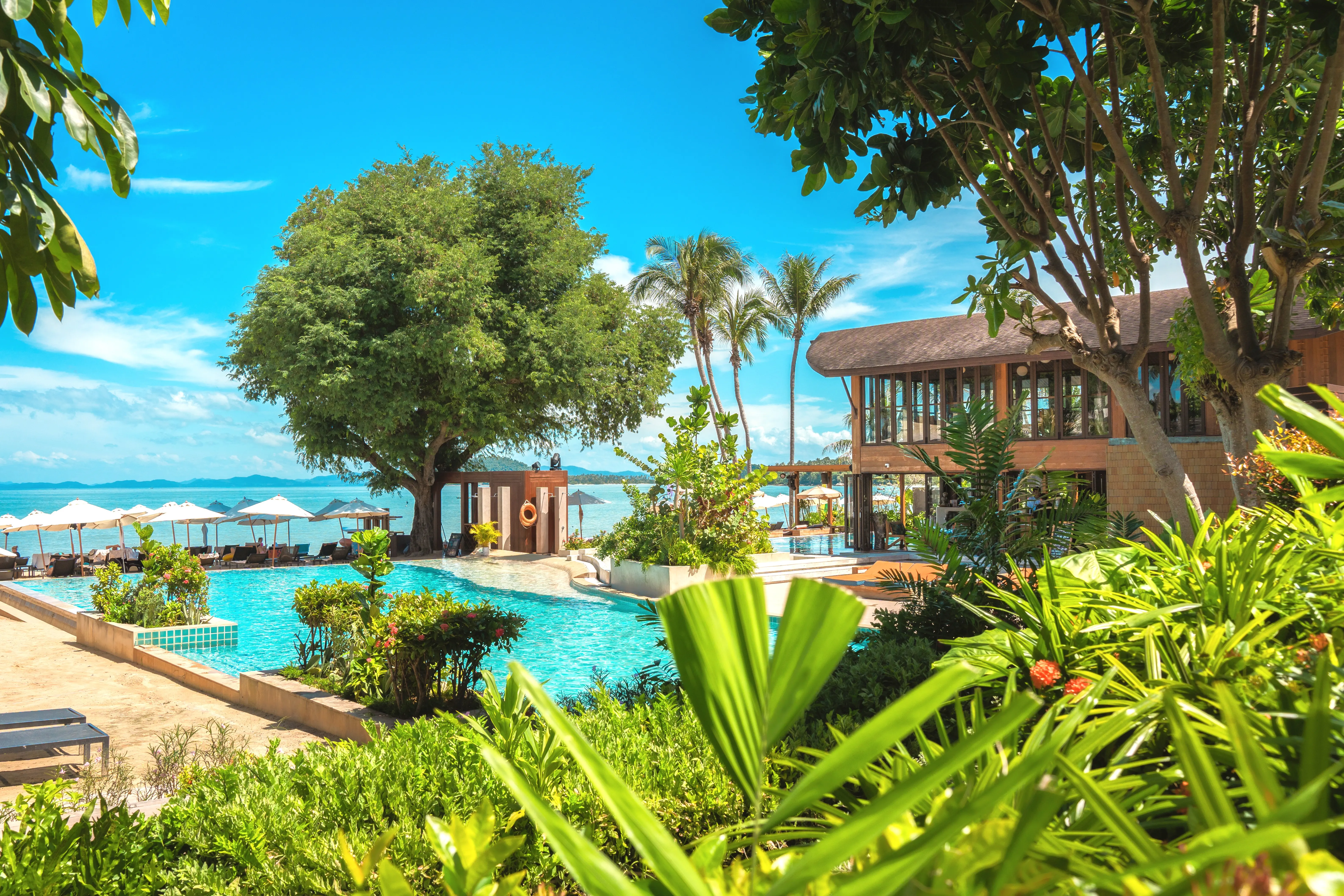 Barcelo Coconut Island (ex The Village Coconut Island) - zdjęcie 375