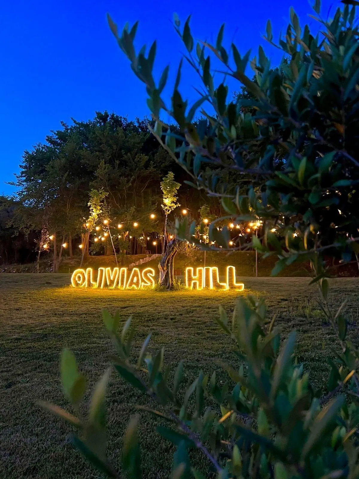 Olivia's Hill Resort - zdjęcie 121