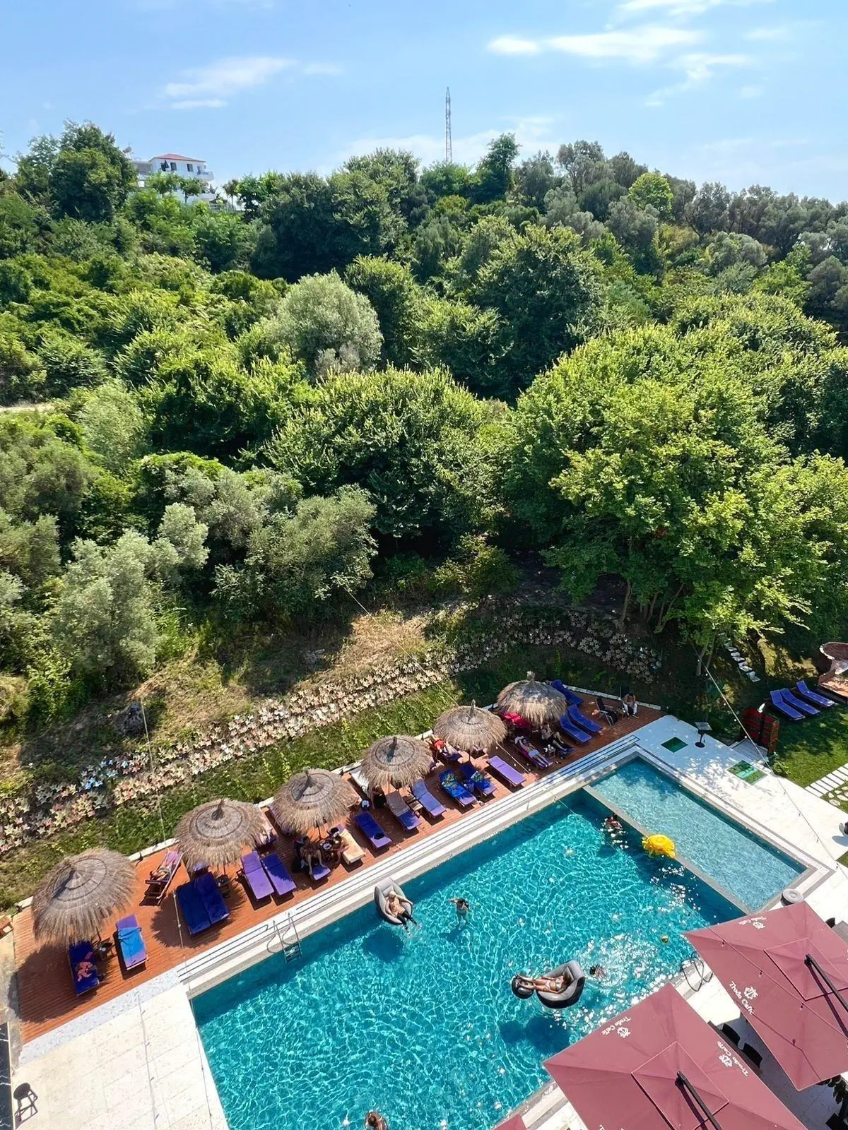 Olivia's Hill Resort - zdjęcie 3