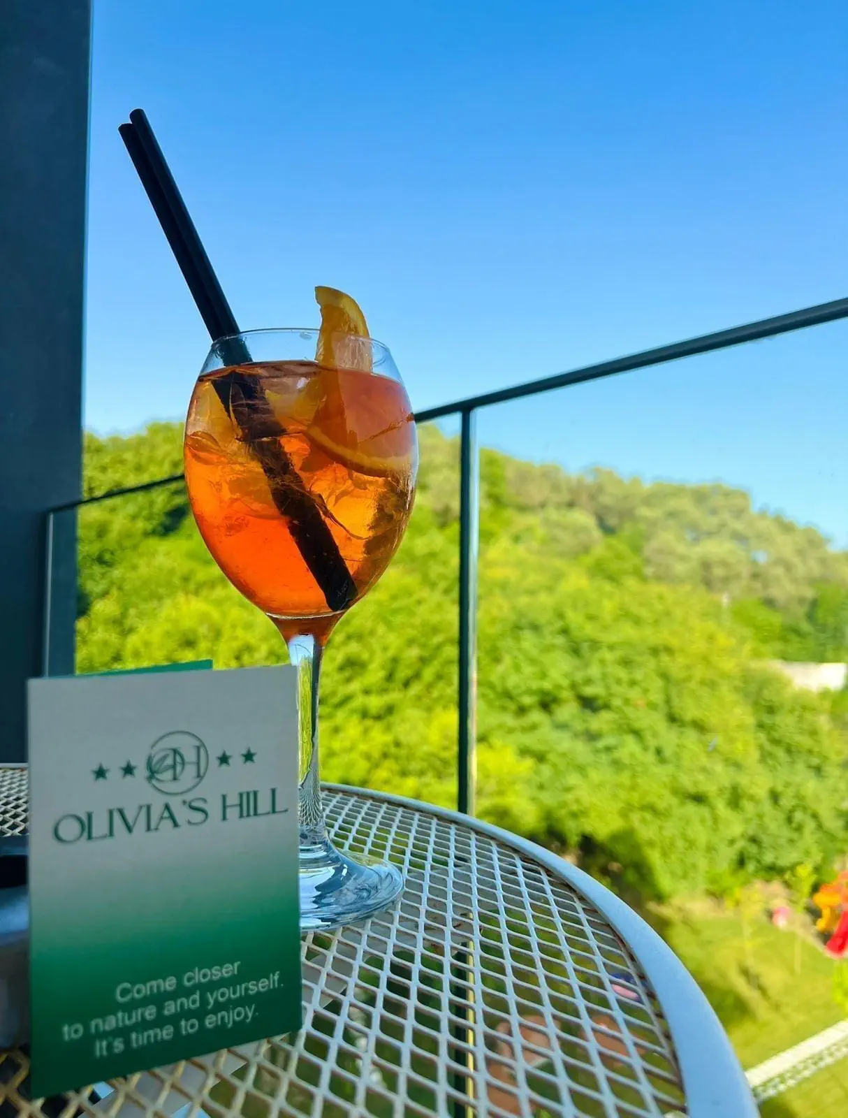 Olivia's Hill Resort - zdjęcie 62