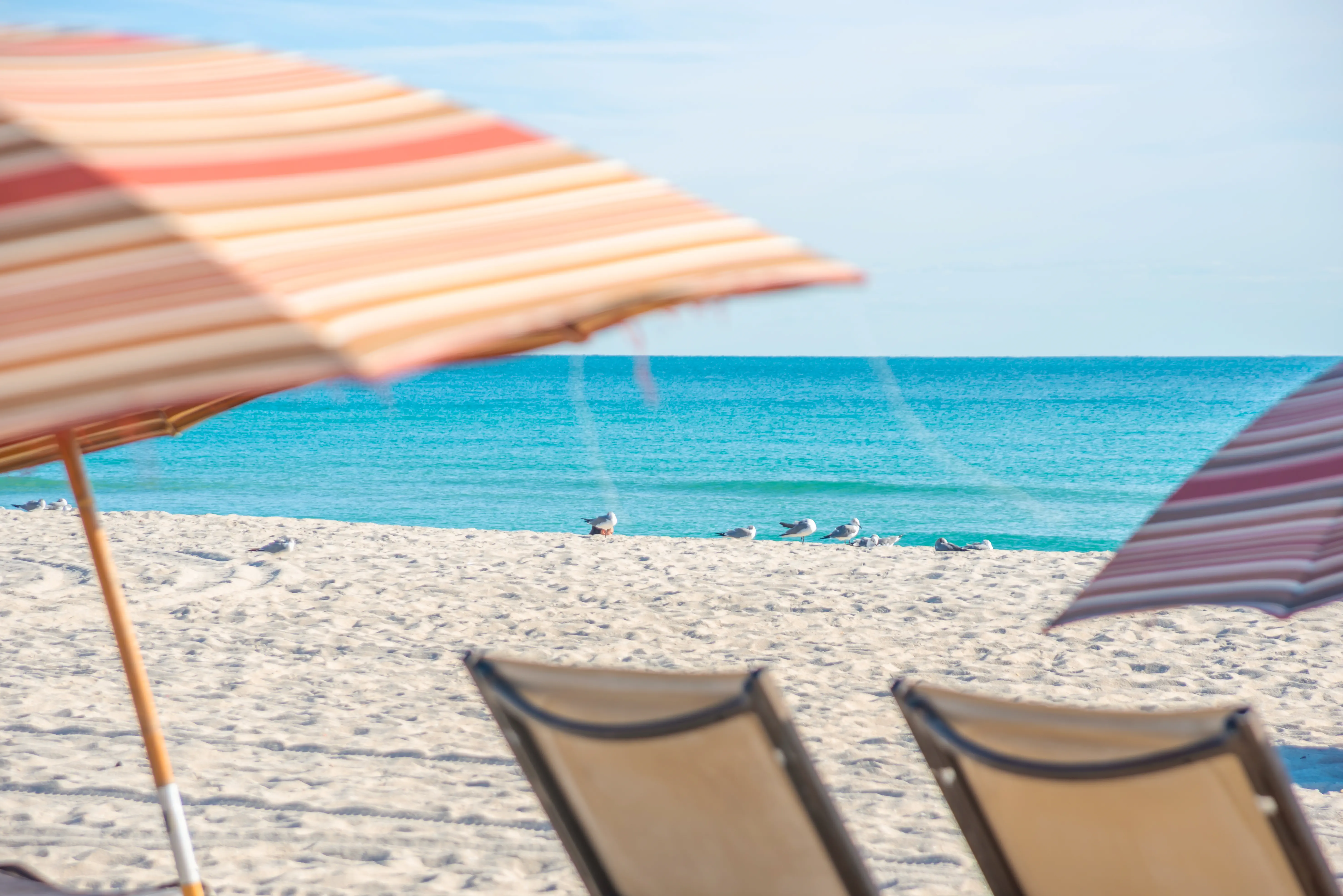 National (Miami Beach) - zdjęcie 100