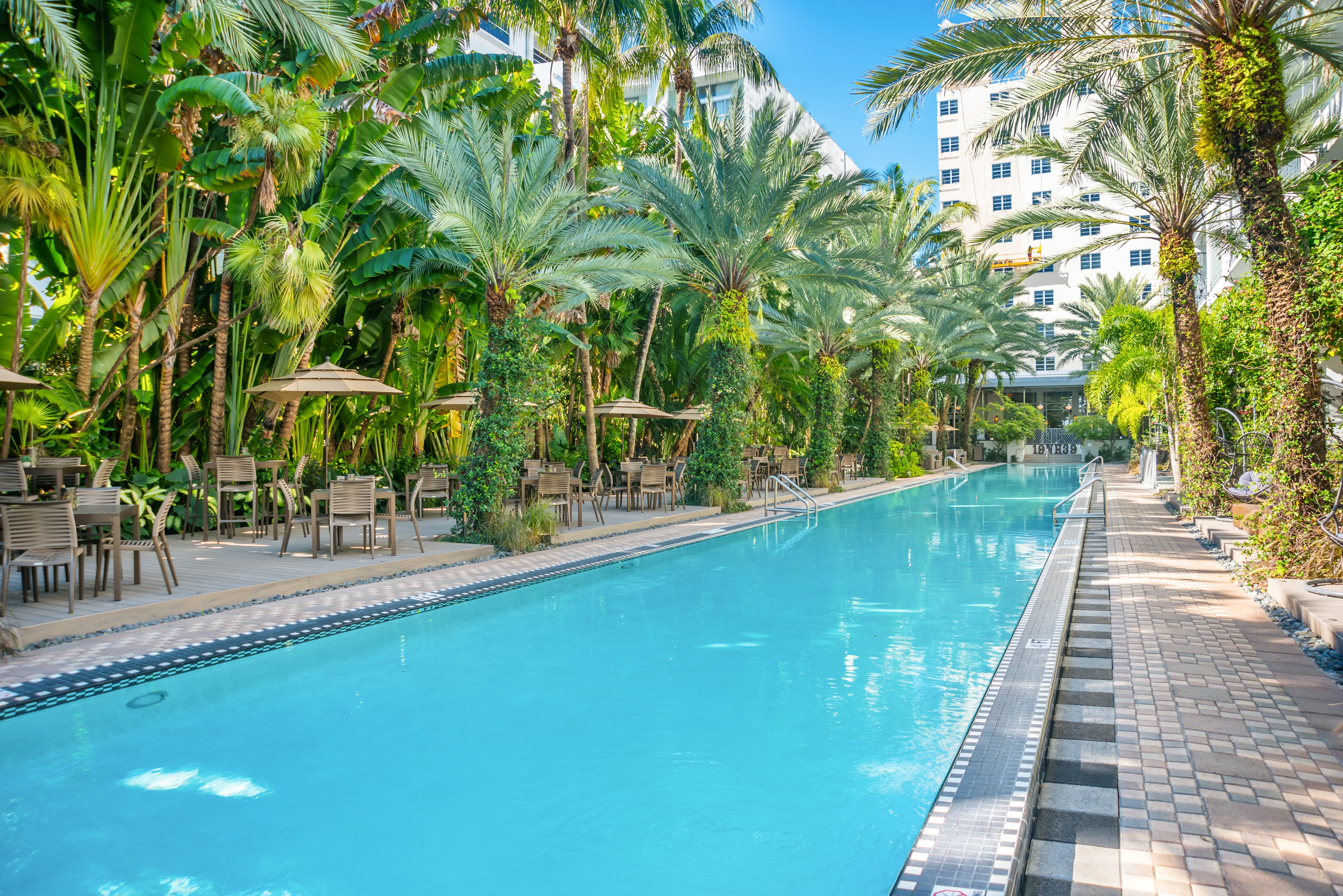 National (Miami Beach) - zdjęcie 34