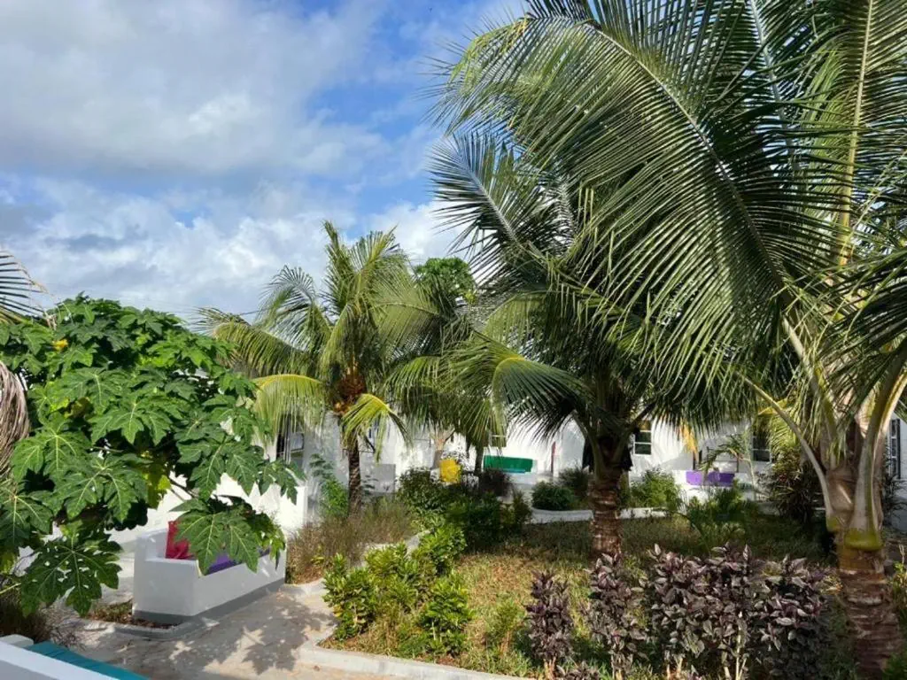 Varadero Zanzibar - zdjęcie 6