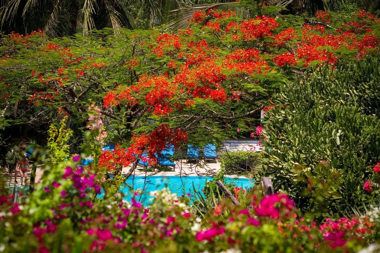 Diani Sea Resort - zdjęcie 19