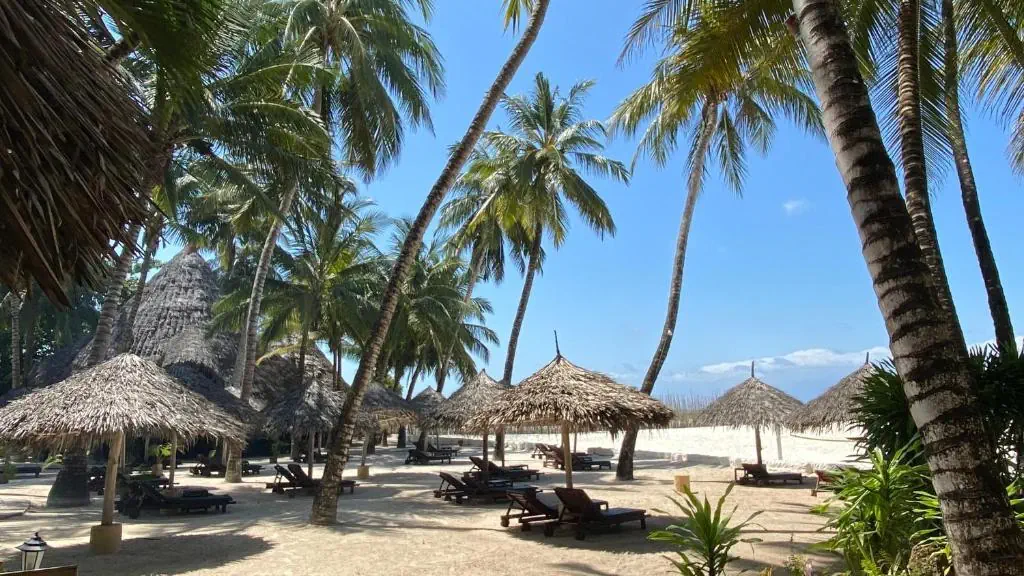 Pinewood Beach Resort & SPA - zdjęcie 10