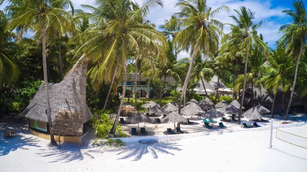 Pinewood Beach Resort & SPA - zdjęcie 7