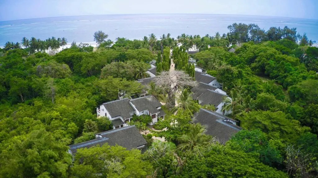 Pinewood Beach Resort & SPA - zdjęcie 8