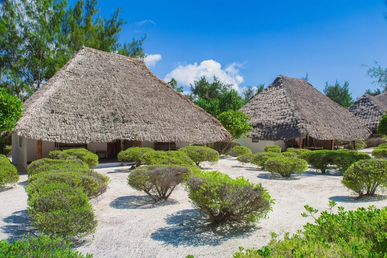 Hakuna Majiwe Beach Lodge - zdjęcie 3