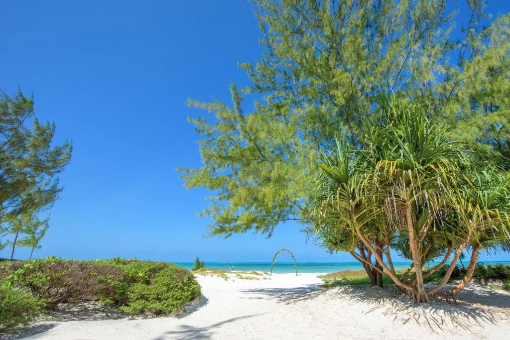 Hakuna Majiwe Beach Lodge - zdjęcie 17