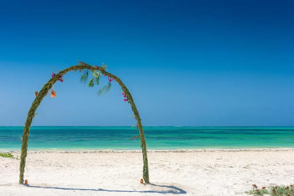 Hakuna Majiwe Beach Lodge - zdjęcie 16