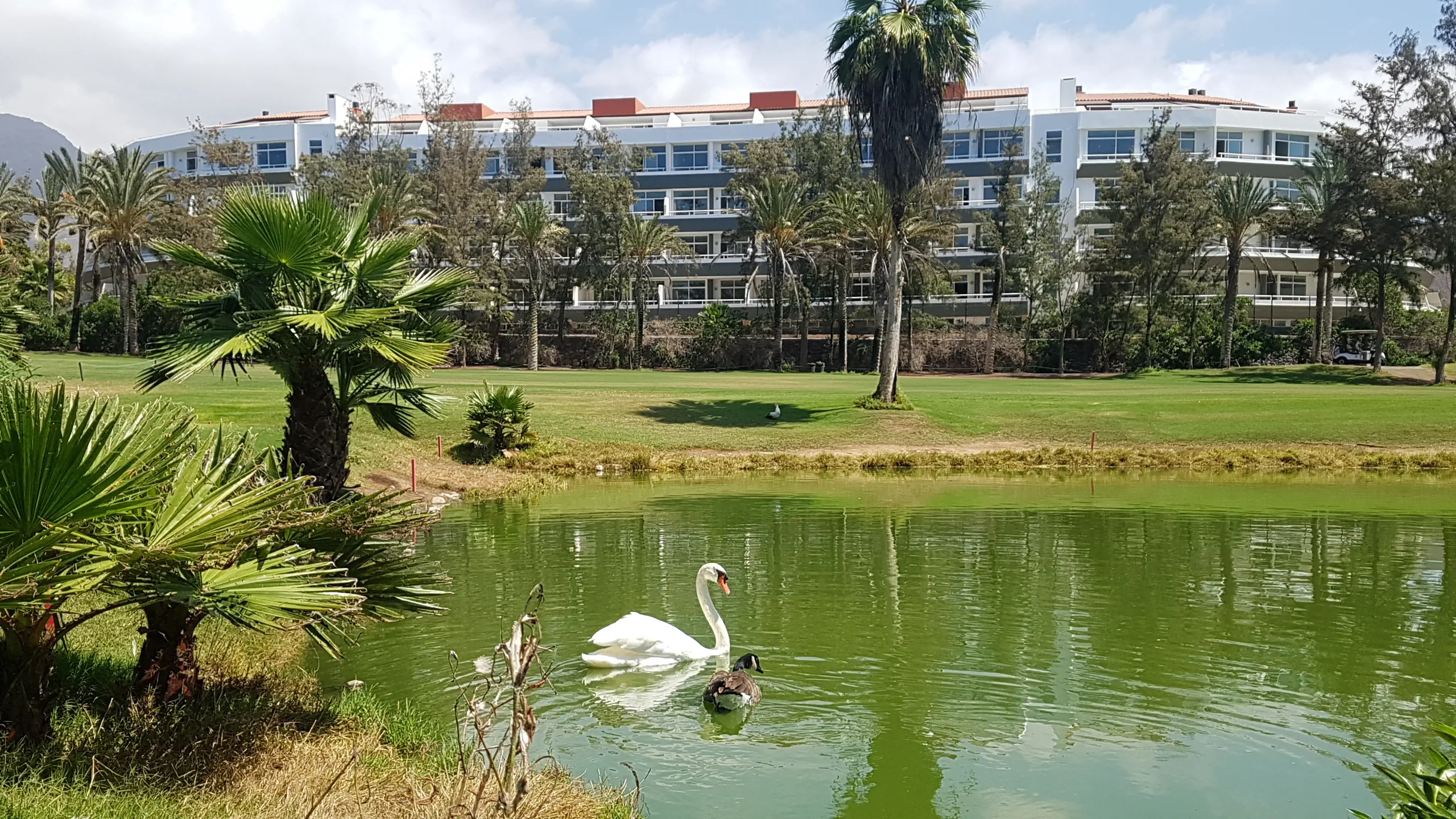 Gara Suites (Playa de las Americas) - zdjęcie 32