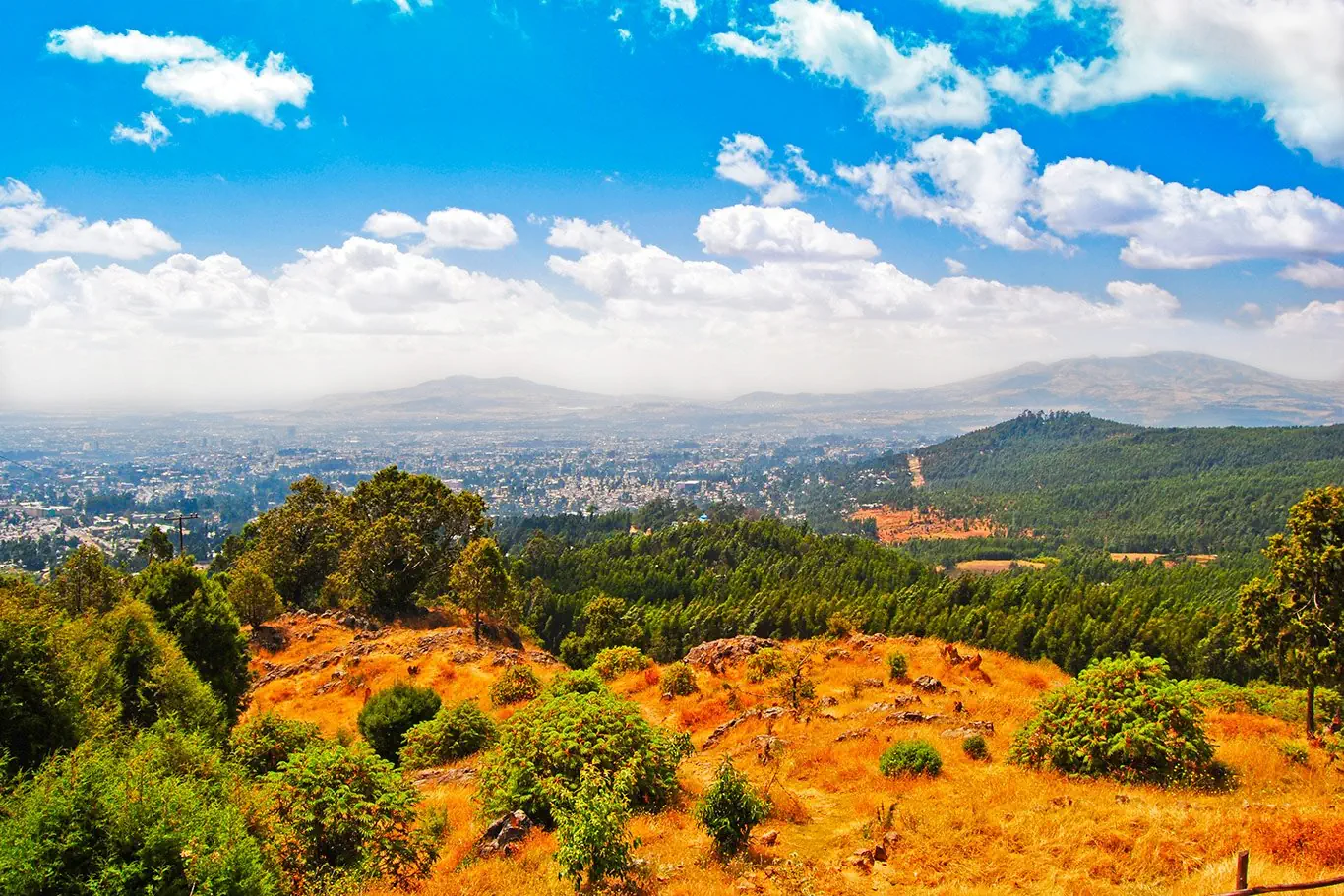 Etiopia - królestwo legend - zdjęcie 29