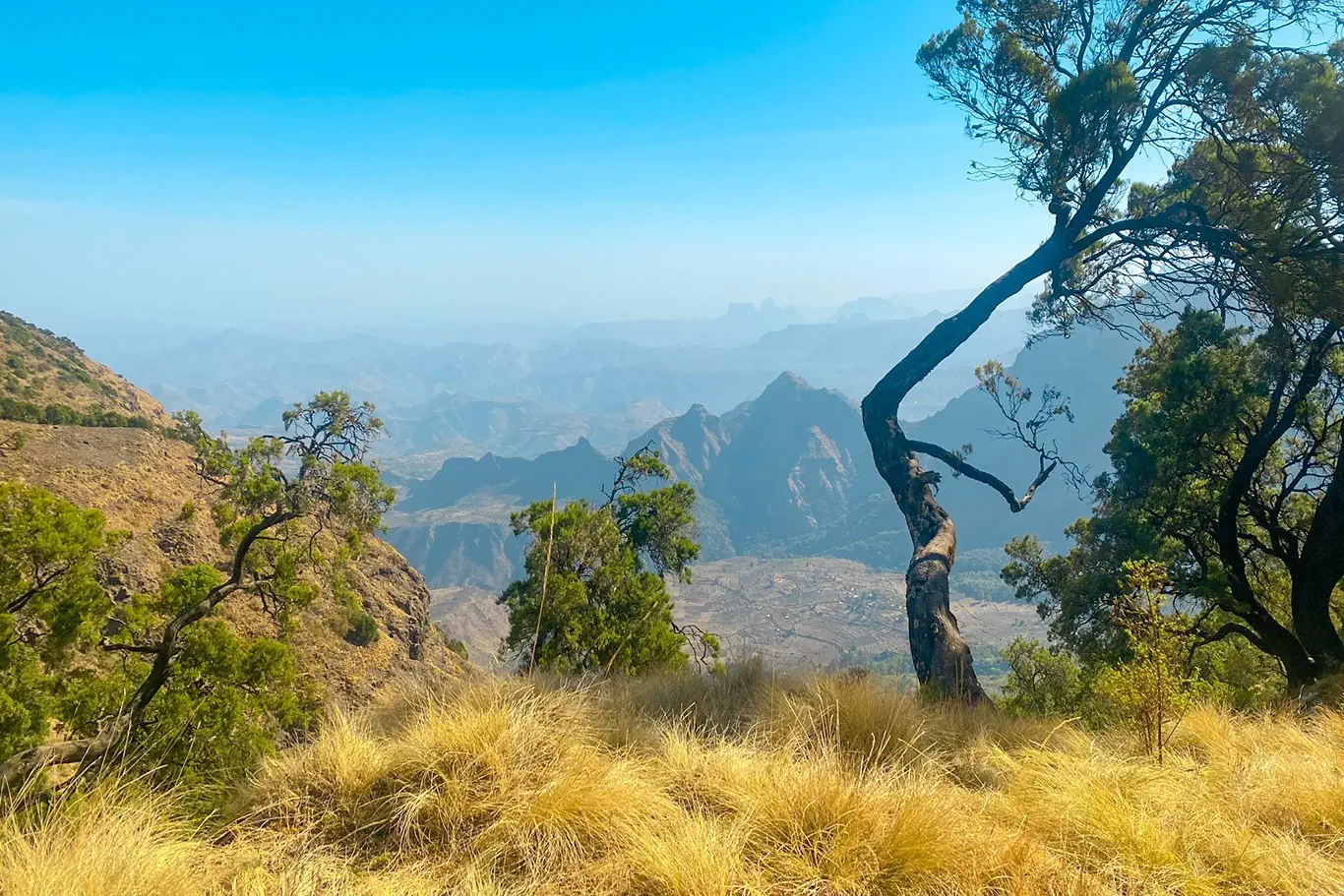 Etiopia - królestwo legend - zdjęcie 5
