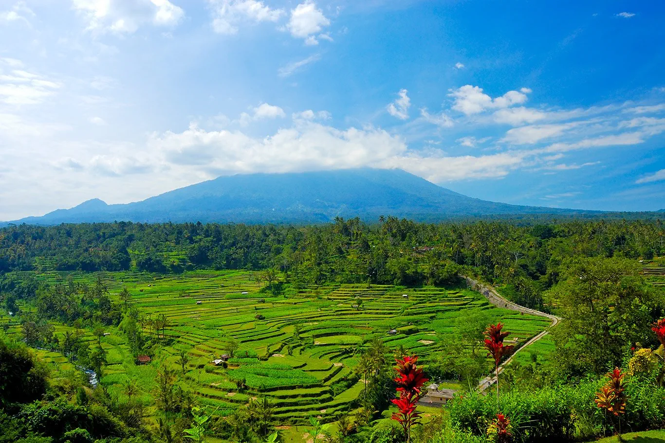 Hotel: Singapur - Tajlandia - Bali