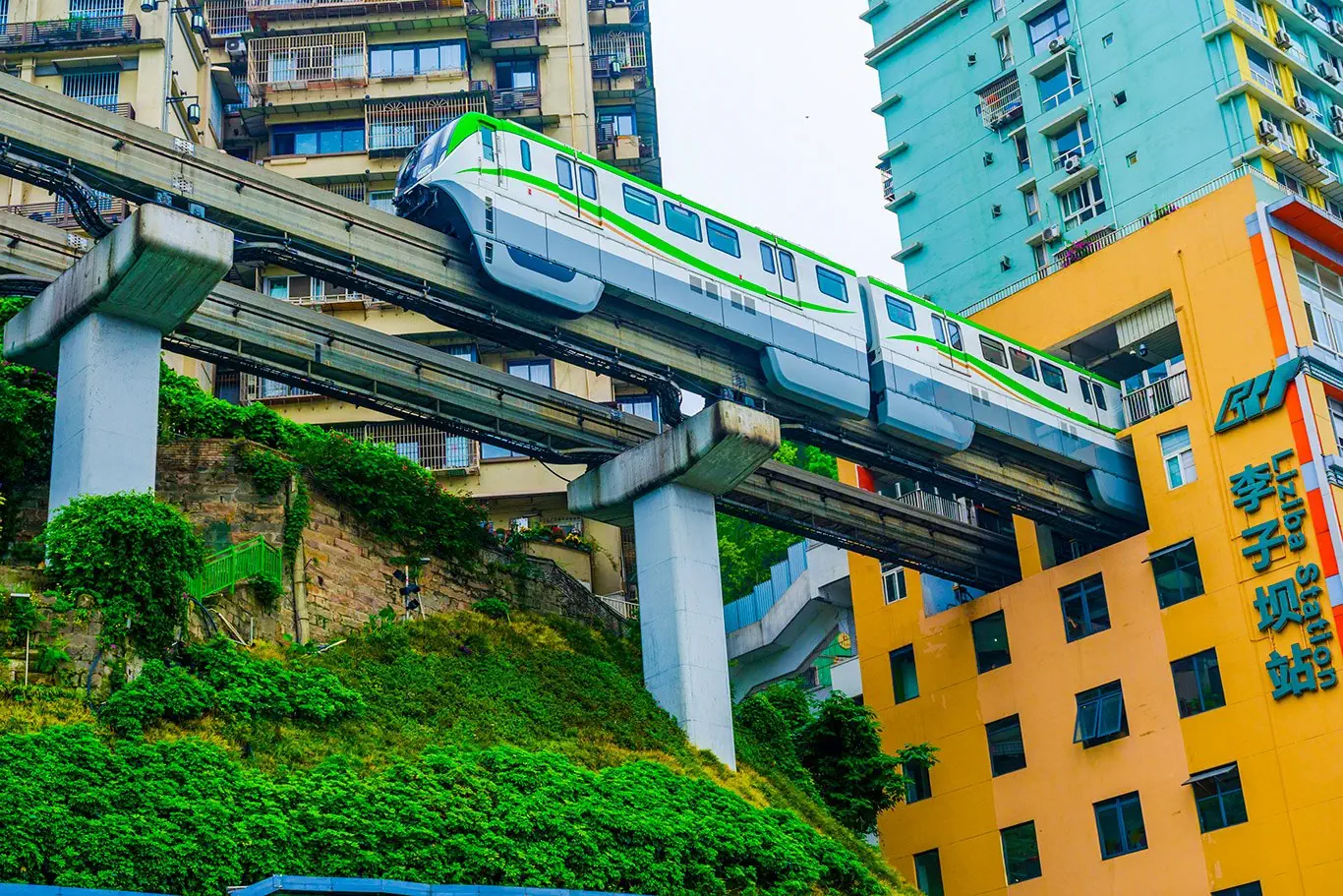 Chiny - pandy, Chongqing i tropikalna Sanya - zdjęcie 3