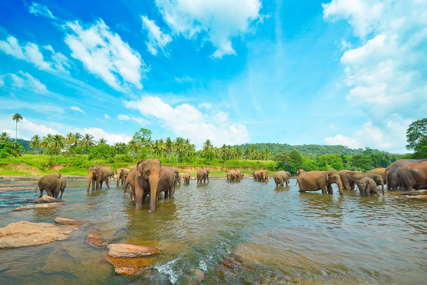 Sri Lanka - szlakiem buddyjskich skarbów - zdjęcie 29