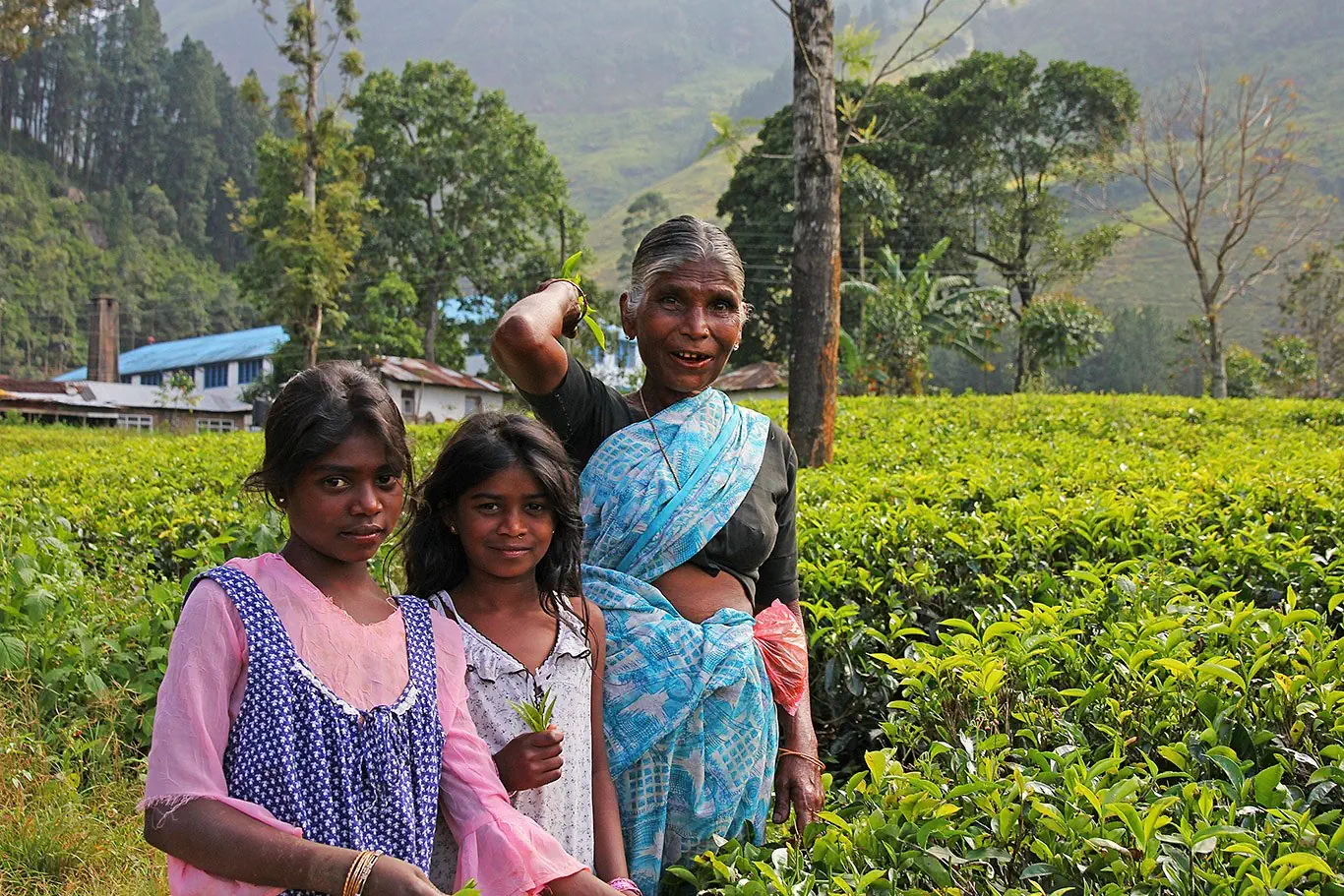 Sri Lanka - szlakiem buddyjskich skarbów - zdjęcie 9