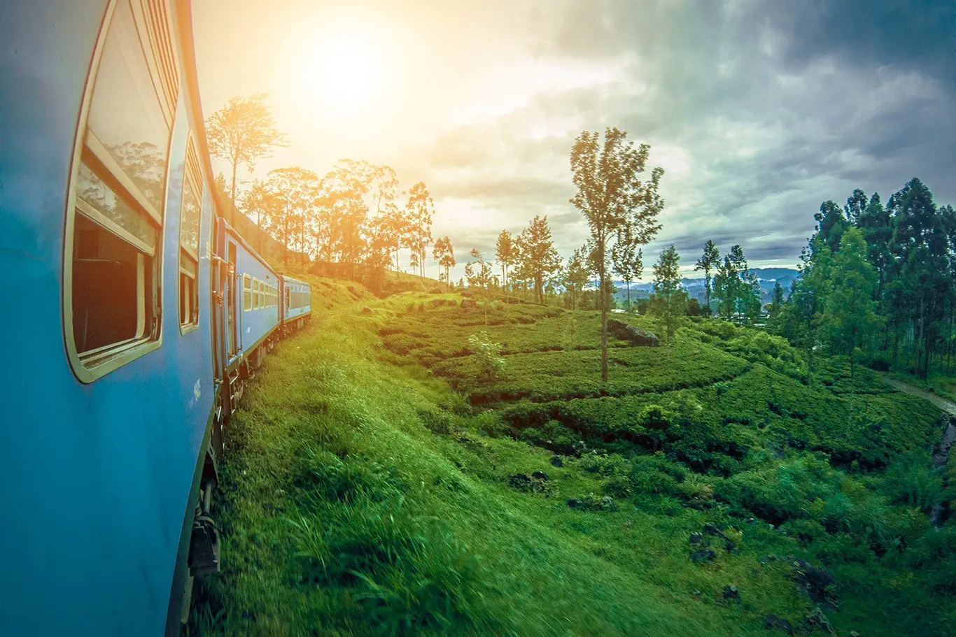 Sri Lanka - szlakiem buddyjskich skarbów - zdjęcie 40