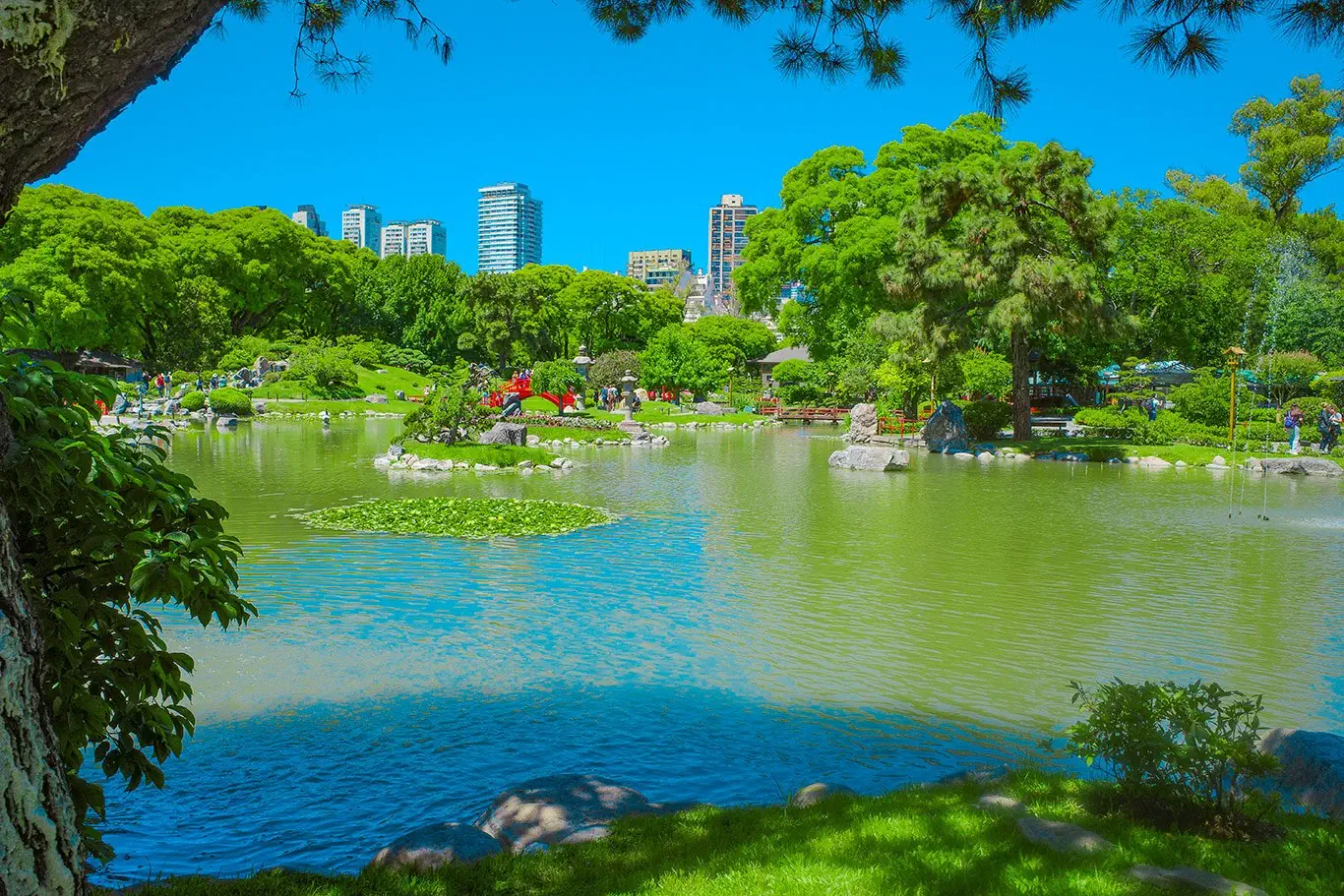 Hotel: Brazylia i Argentyna