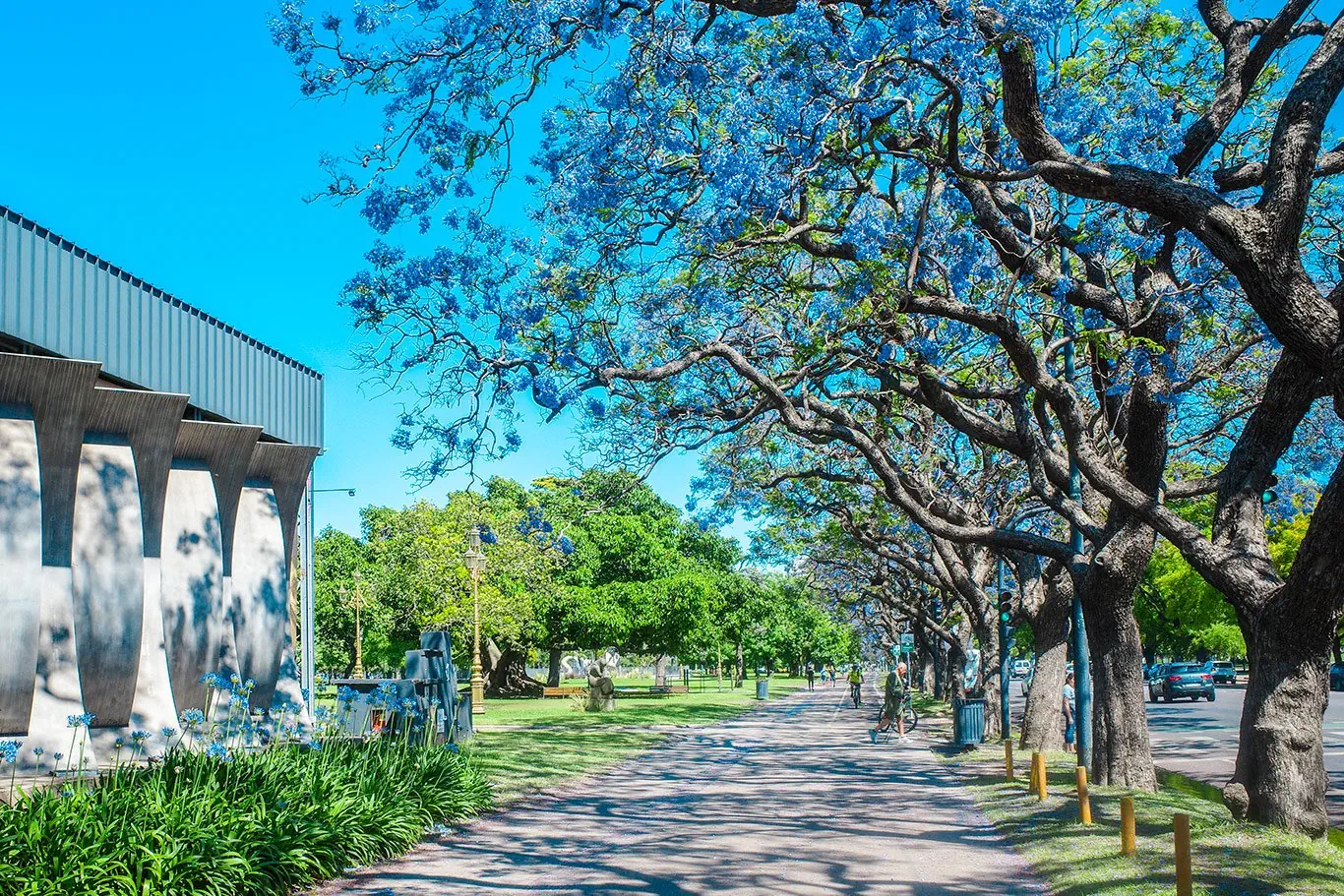 Hotel: Brazylia i Argentyna