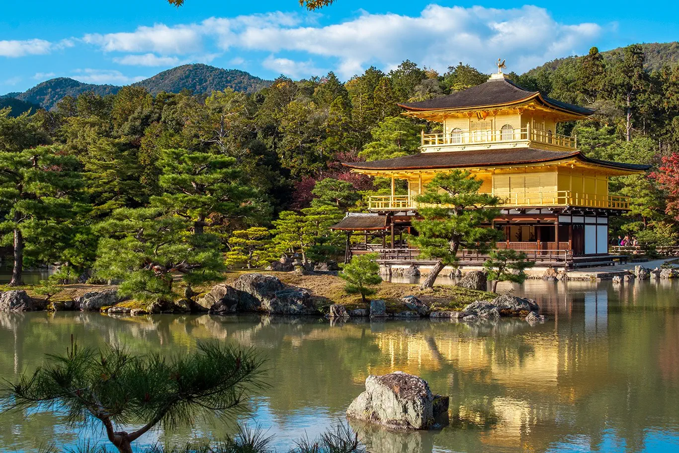 Japonia - kwitnąca Sakura