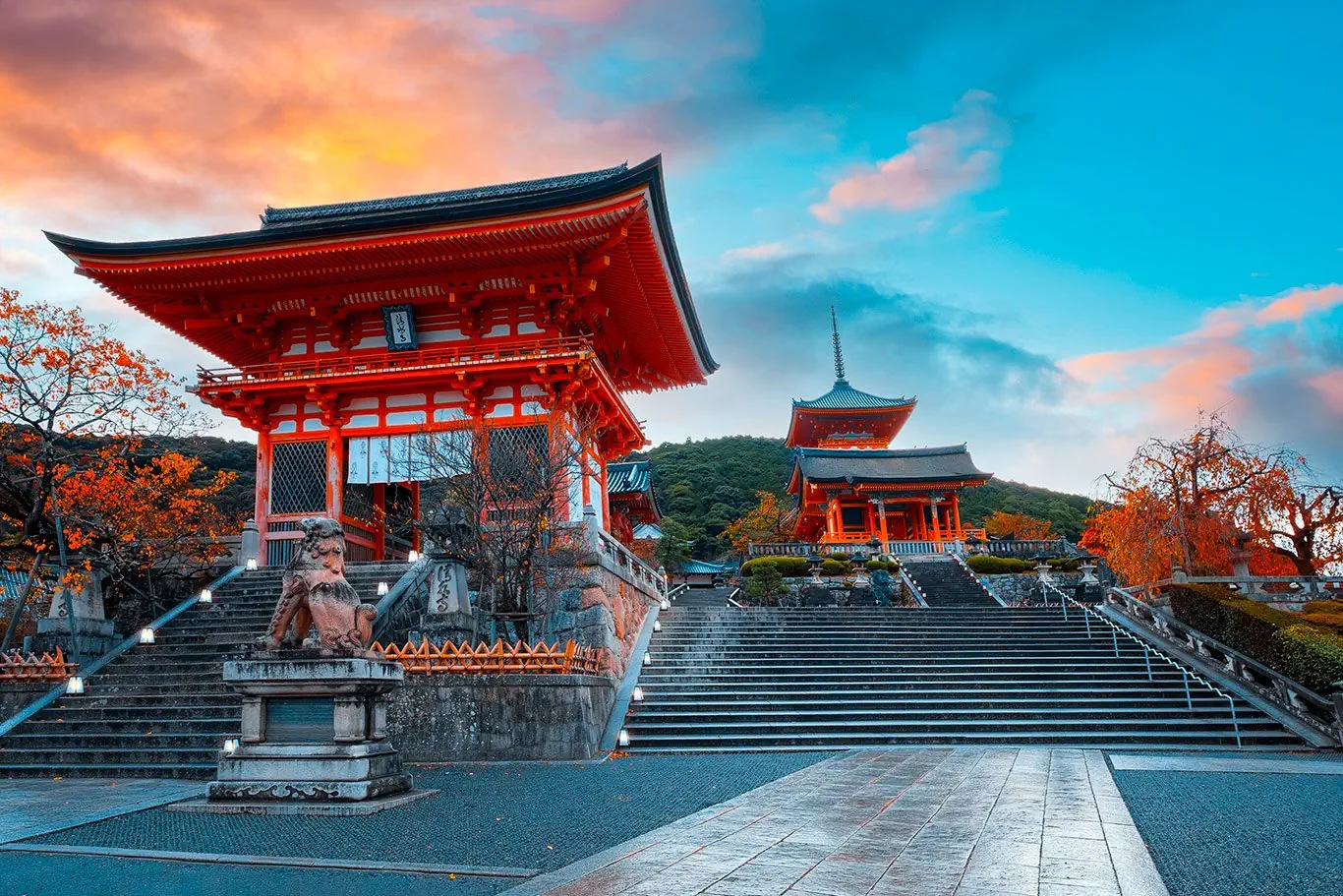 Japonia - kwitnąca Sakura